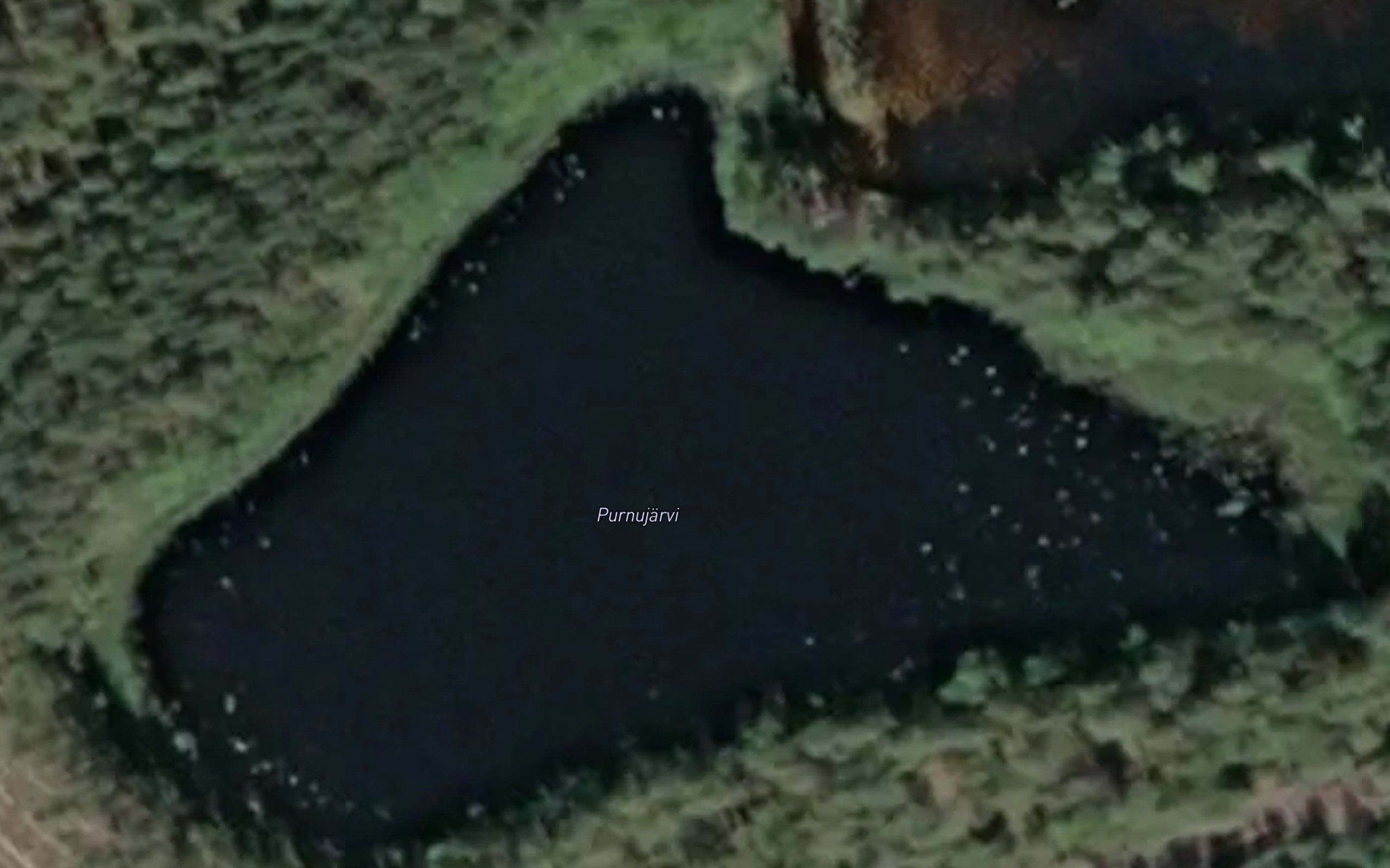 Purnujarvi