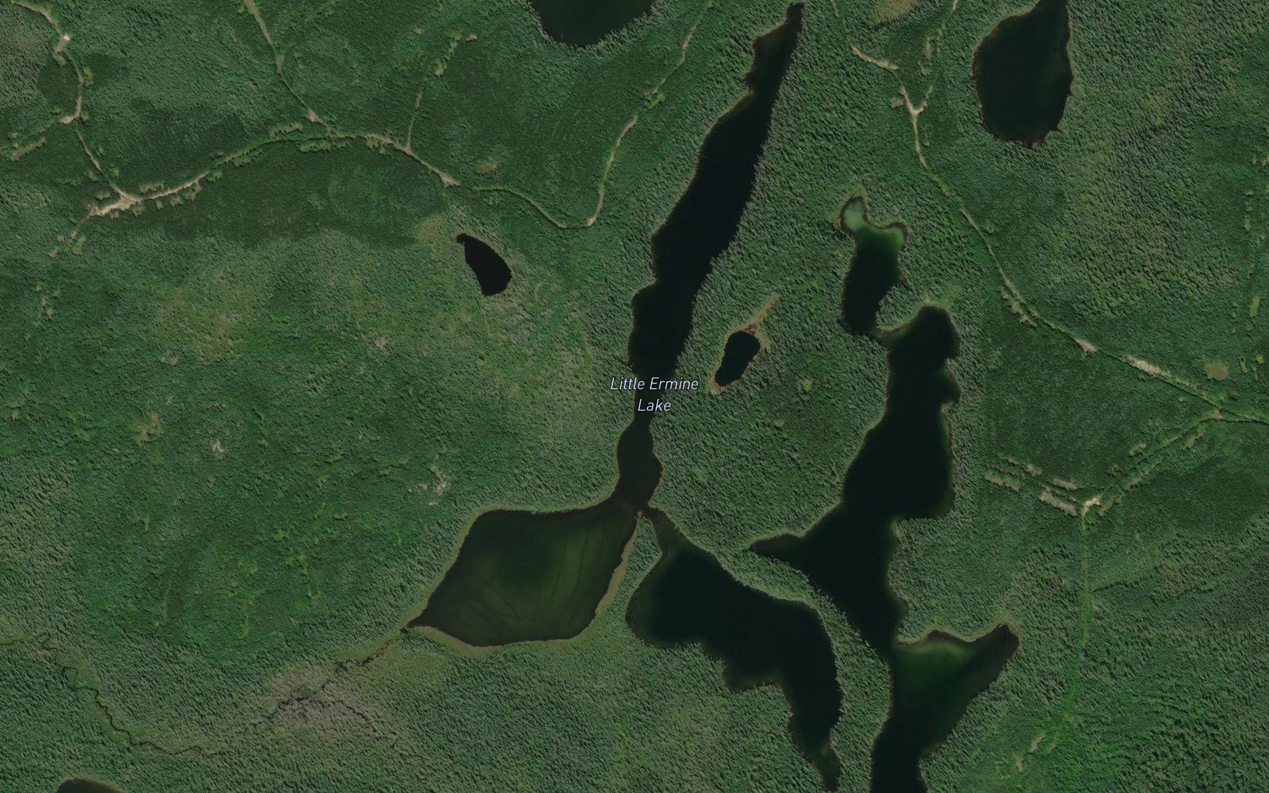 Satellite map of the Little Ermine Lake