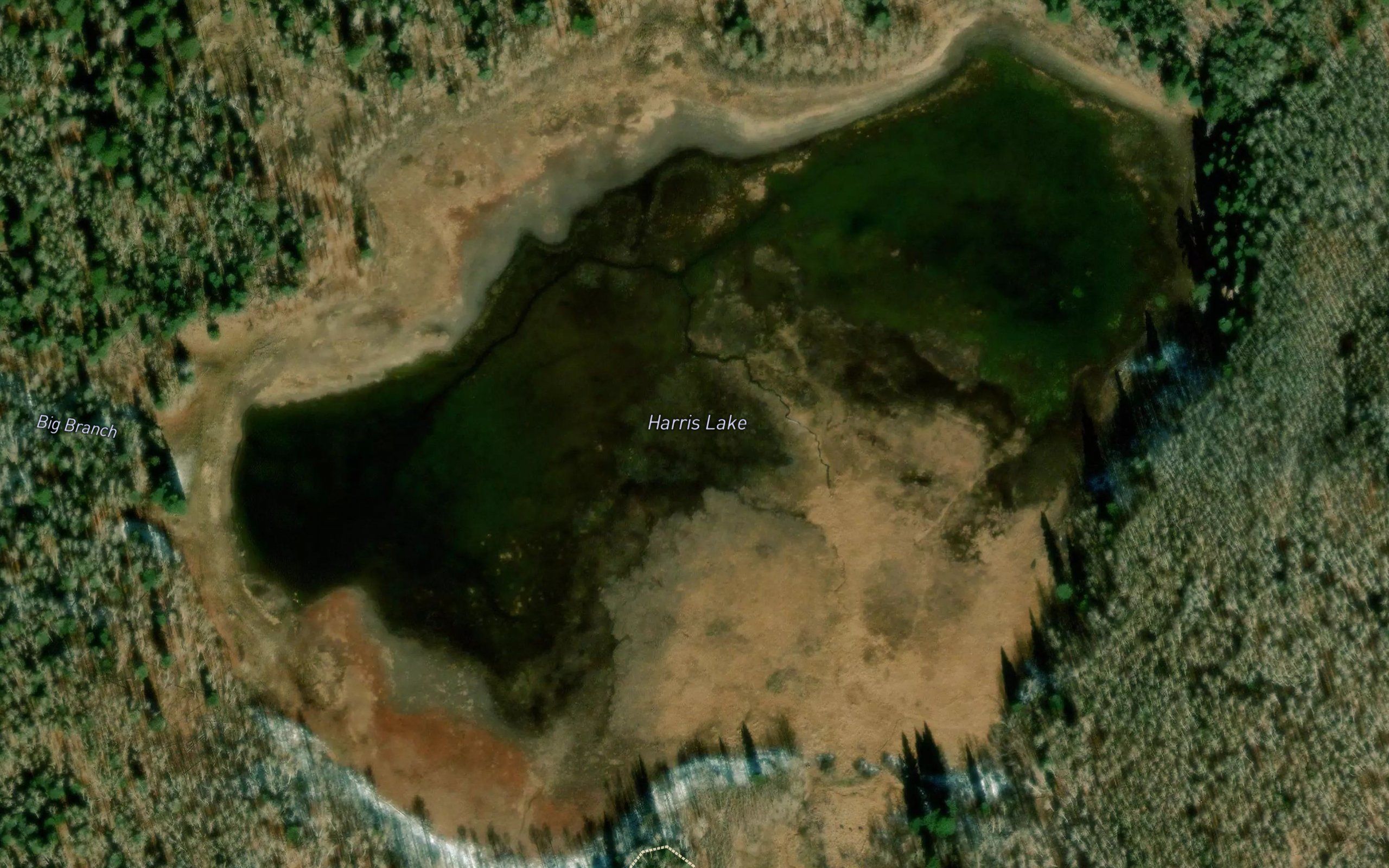 Harris Lake