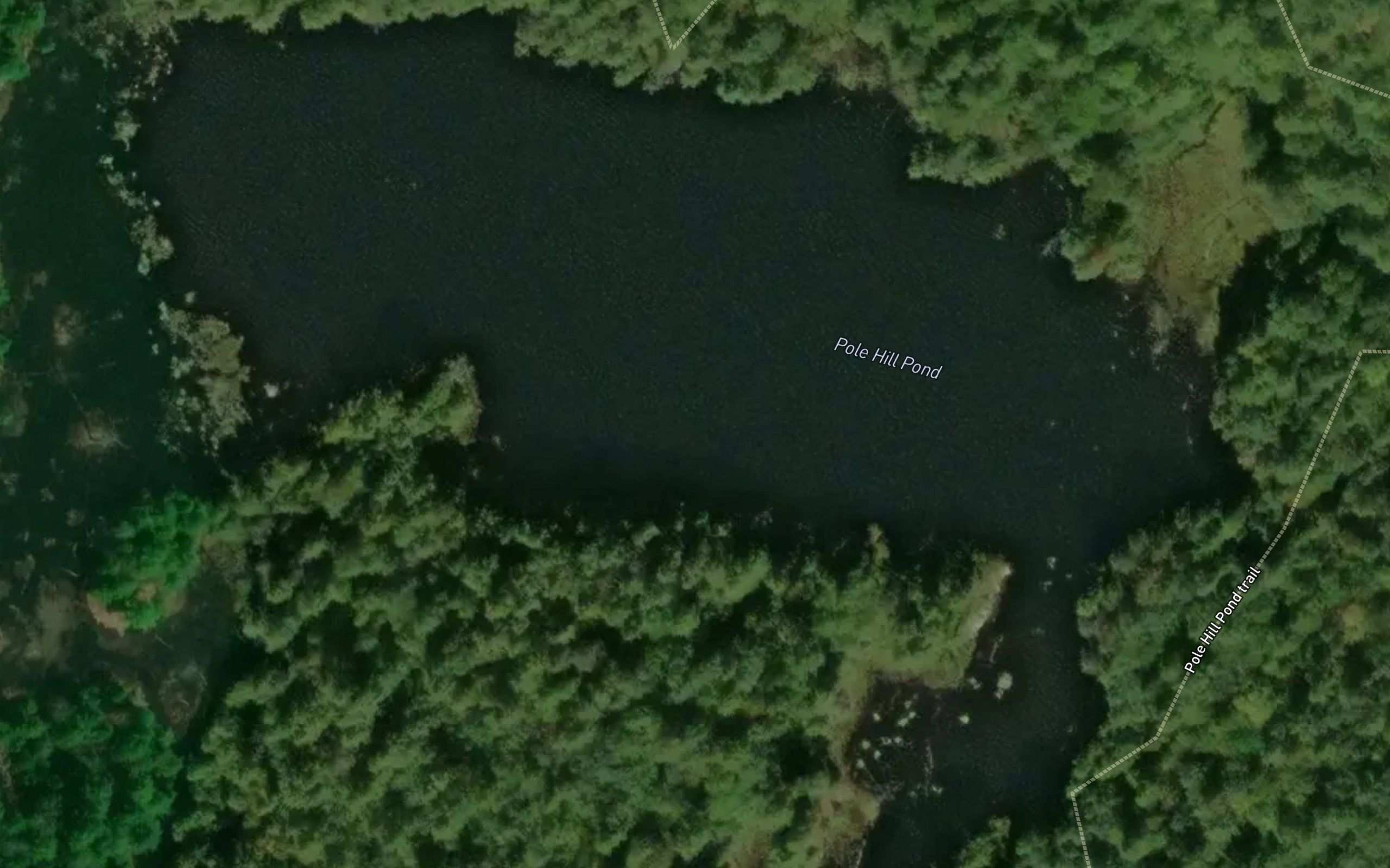 Pole Hill Pond