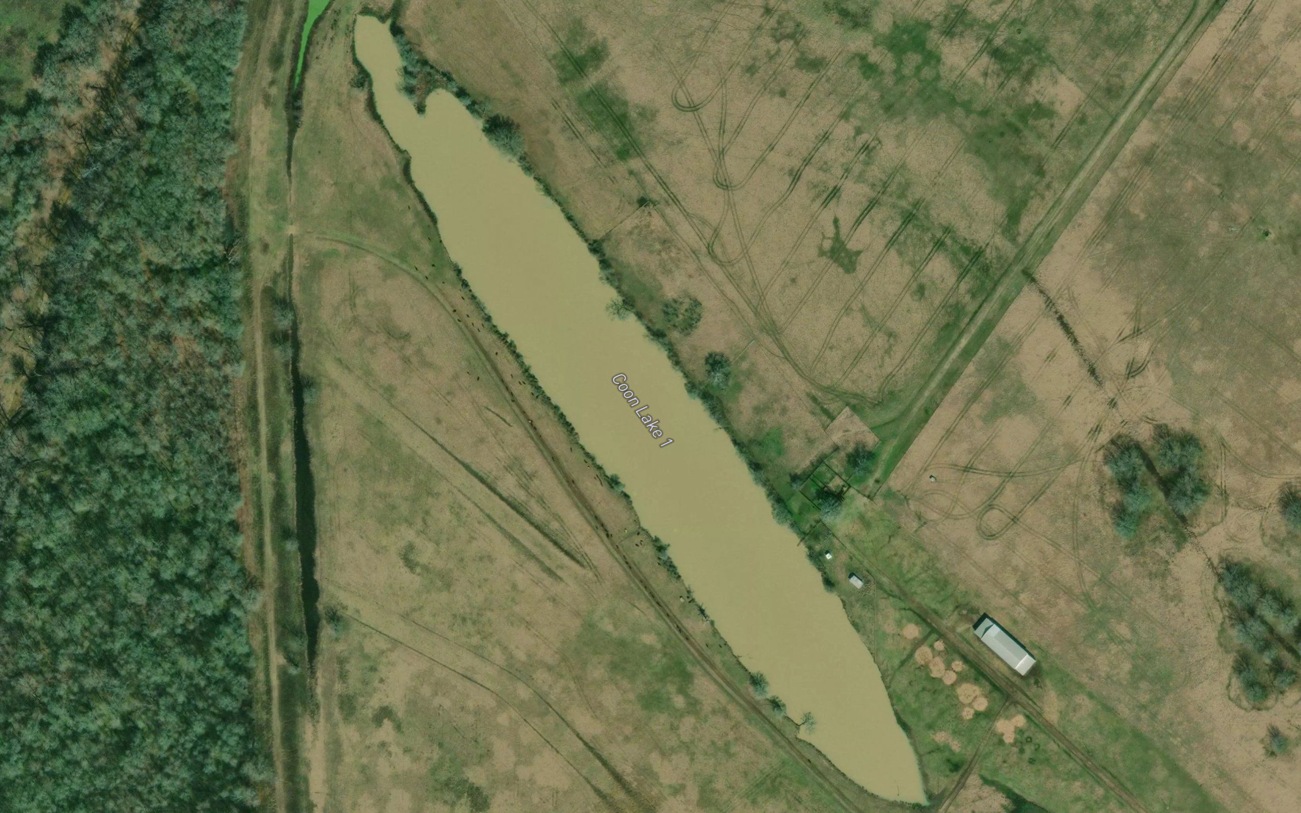 Coon Lake 1