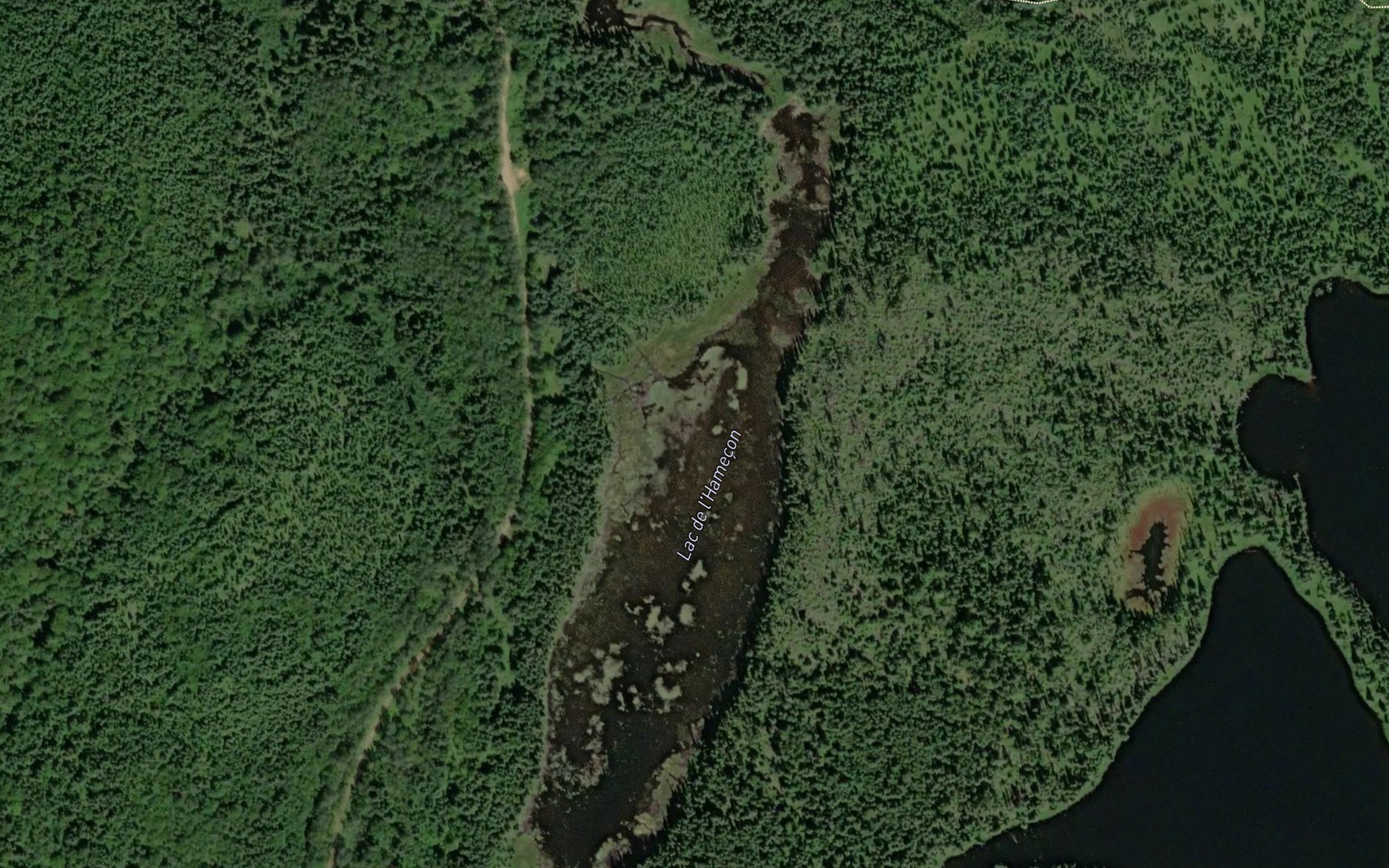 Satellite map of the Lac de l'Hamecon