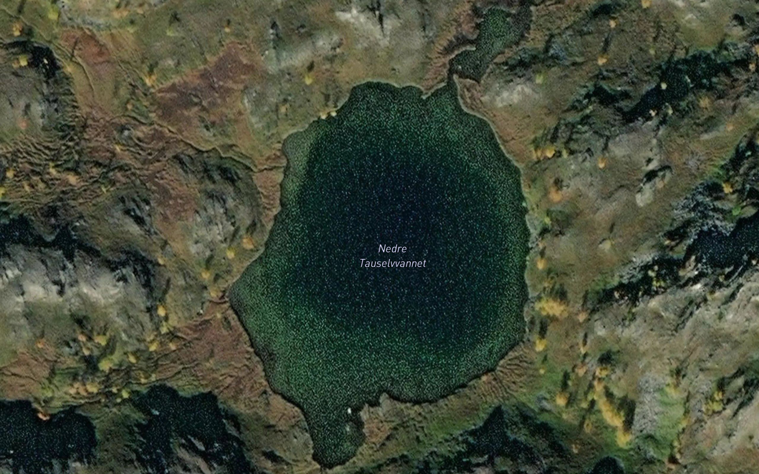 Nedre Tauselvvannet