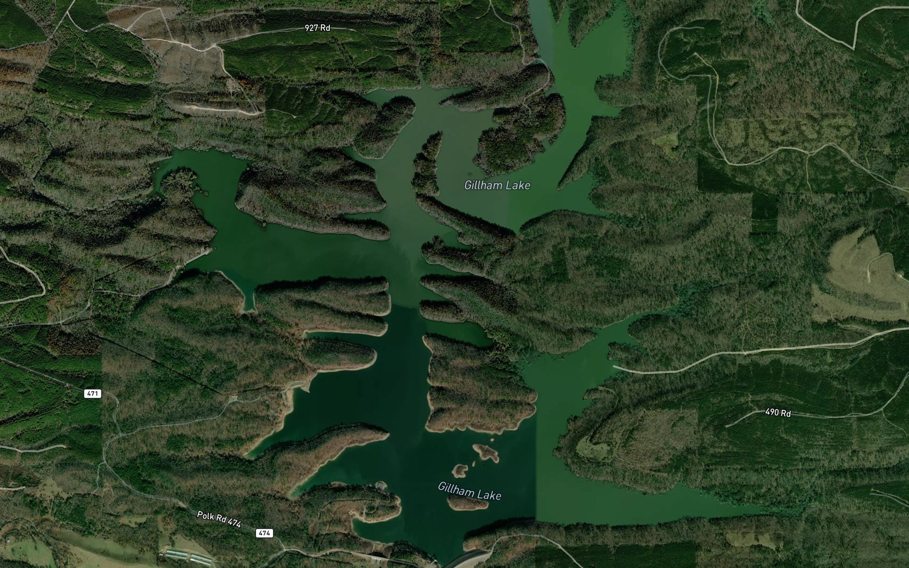 Satellite map of the Gillham Lake