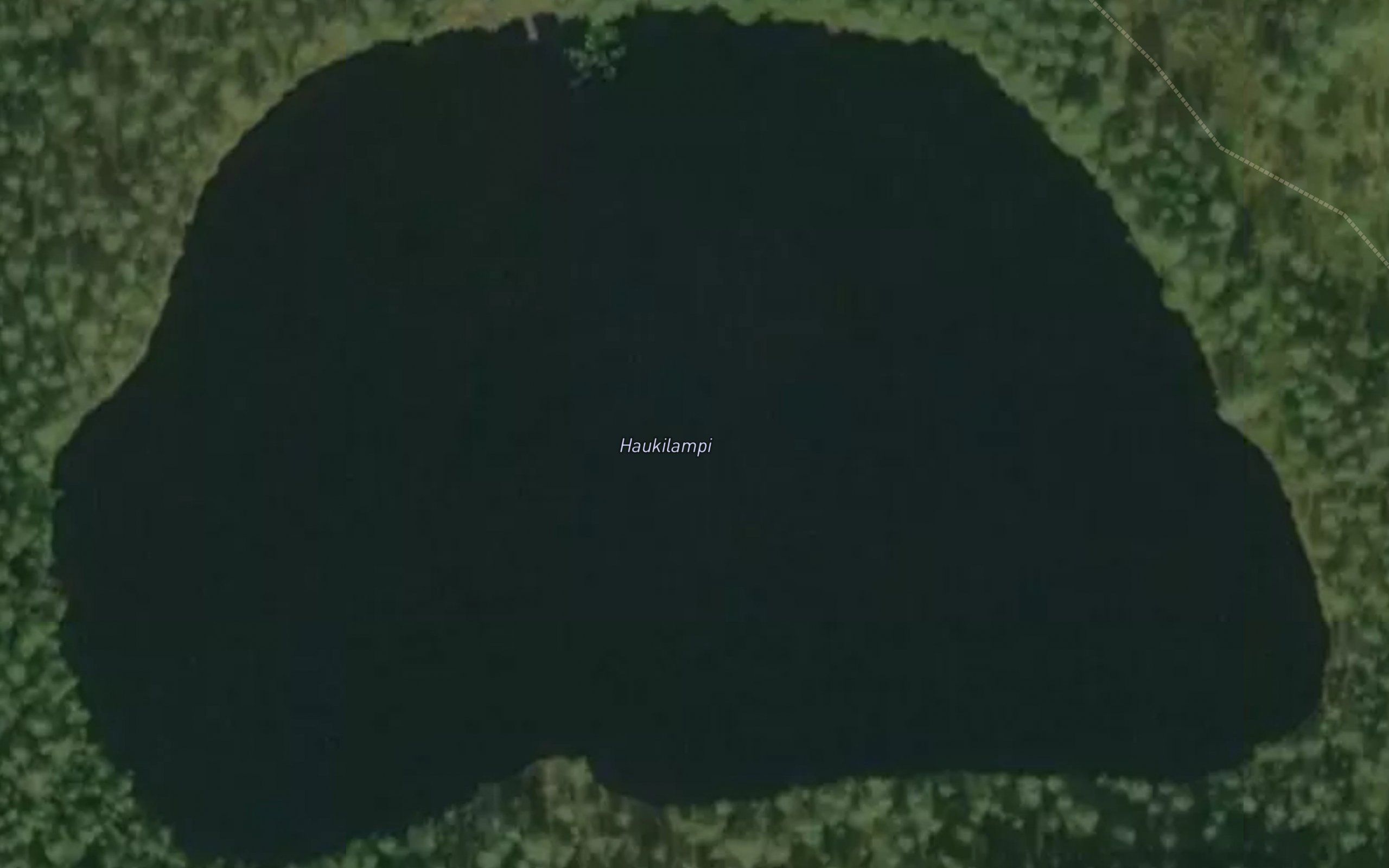 Haukilampi