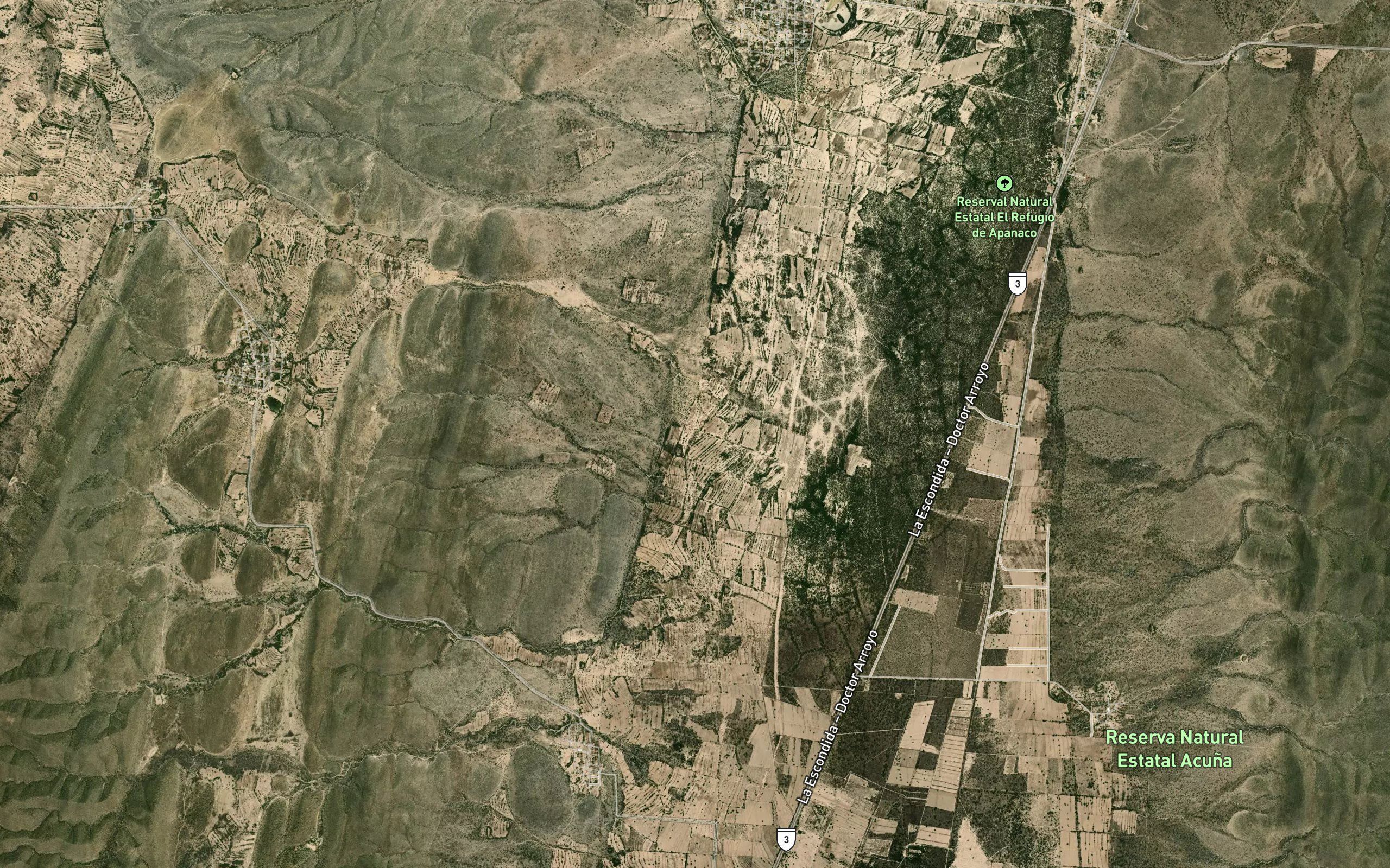 El Epazote