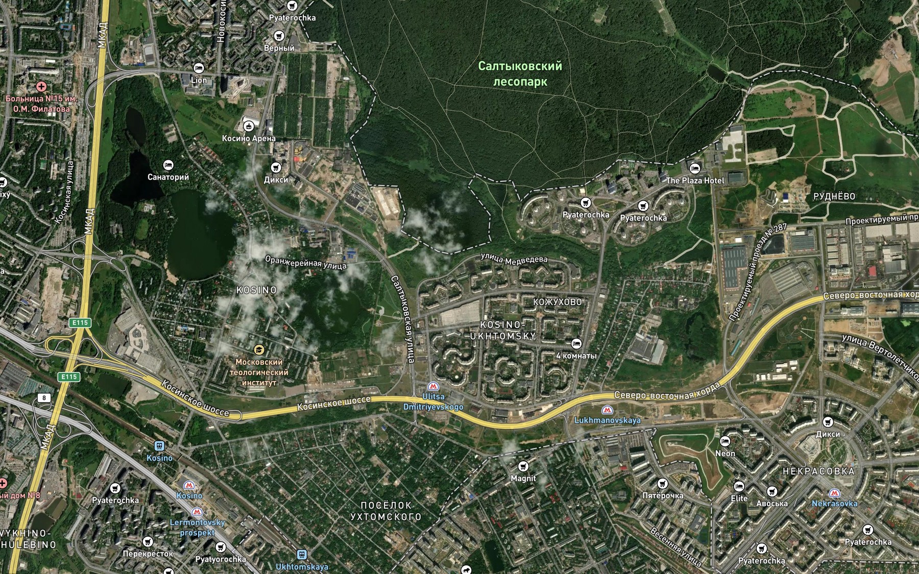 Satellite map of the Rudnevka