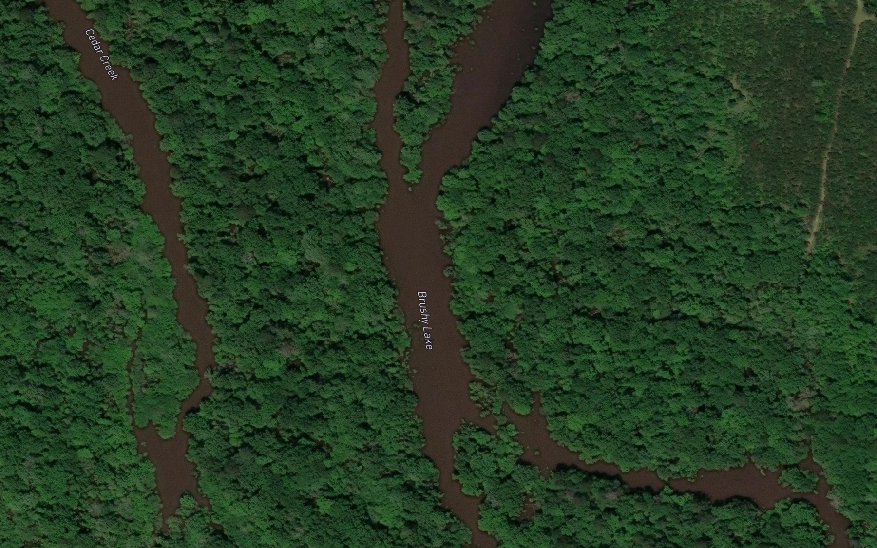 Satellite map of the Brushy Lake