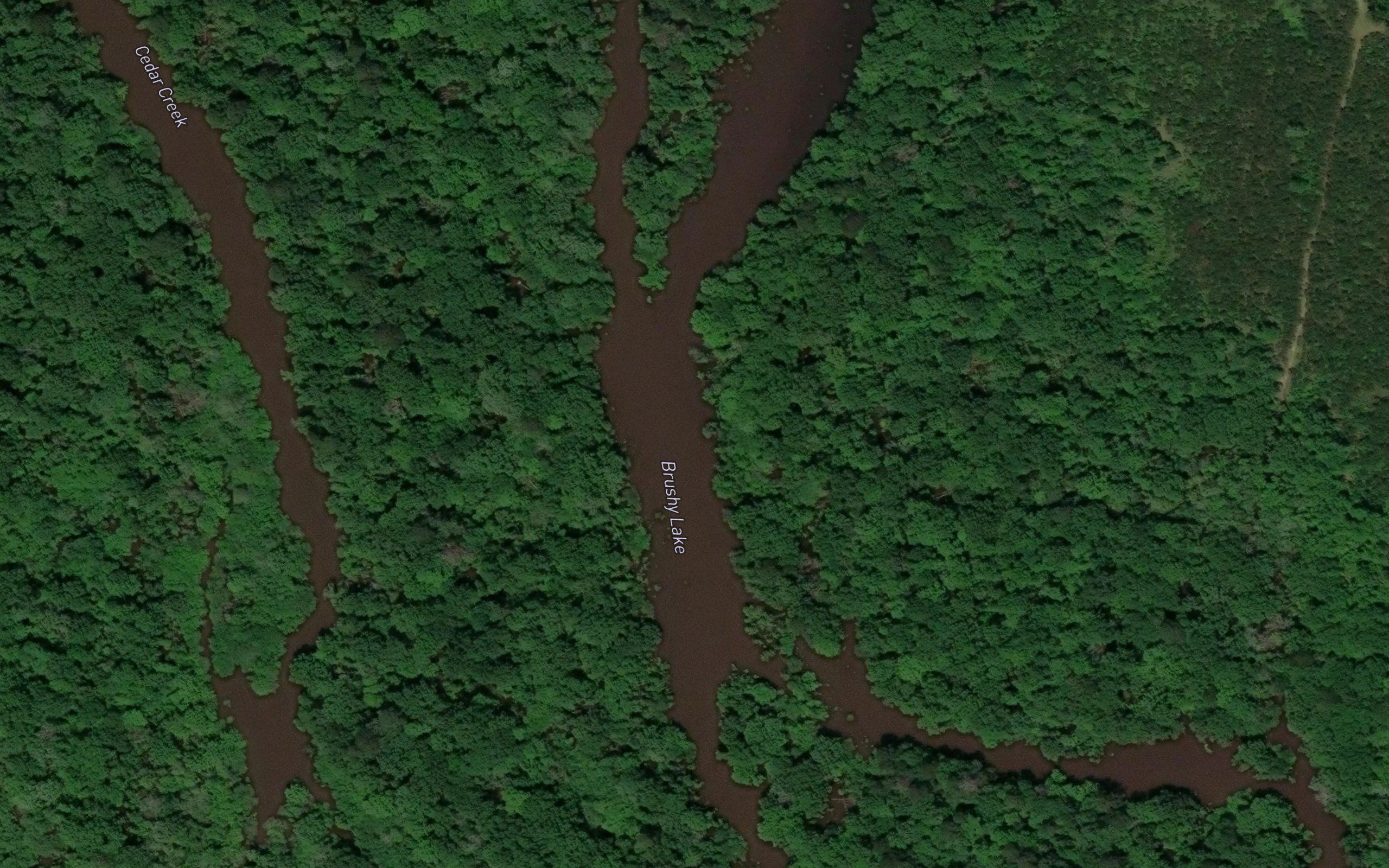 Brushy Lake