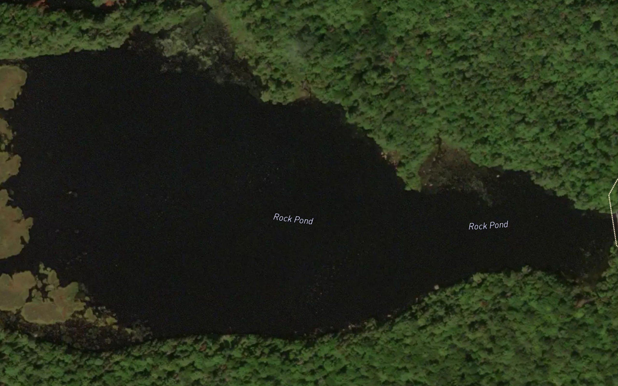 Rock Pond