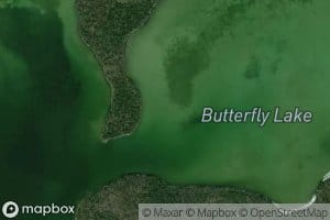 Butterfly Lake