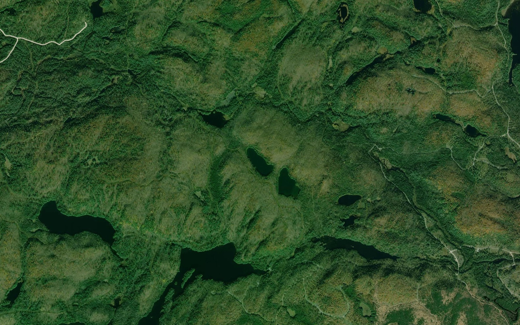 Satellite map of the Lac du Trefle