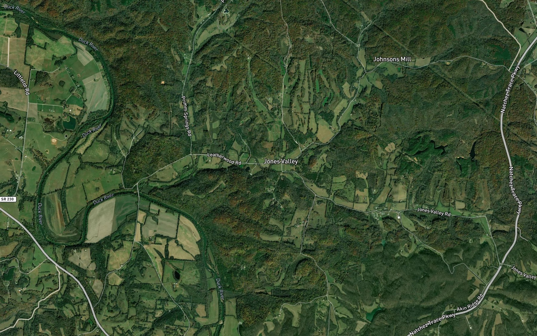 Satellite map of the Wet Prong Leatherwood Creek