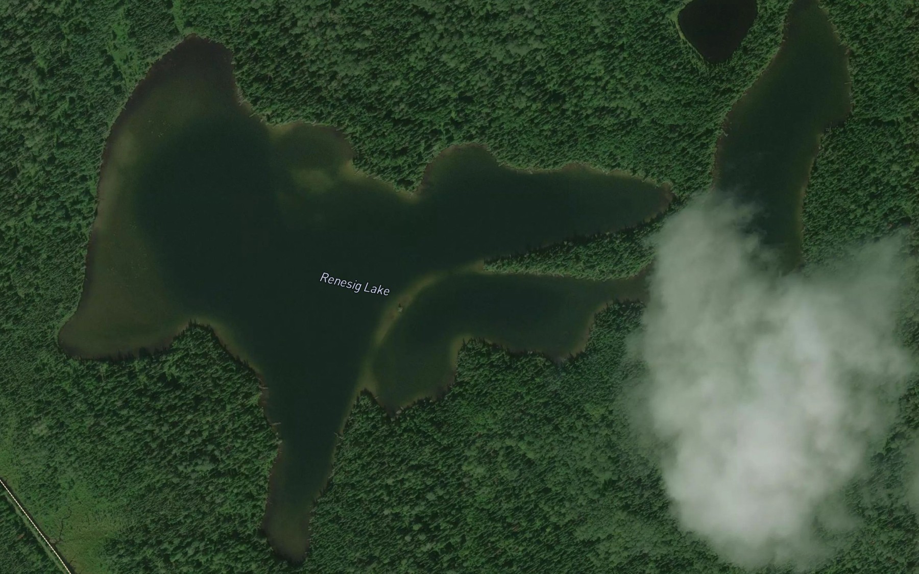 Satellite map of the Renesig Lake