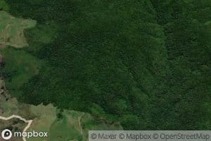 Paraparakauri Stream