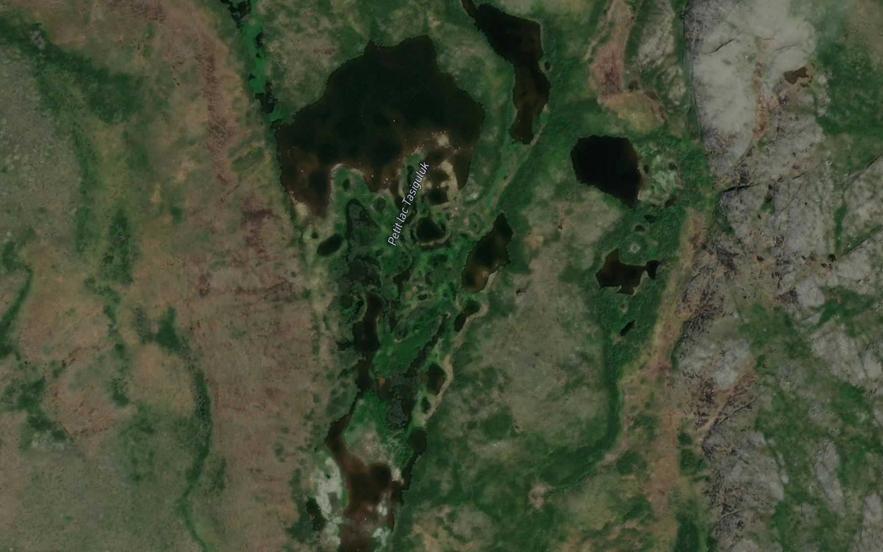 Satellite map of the Petit lac Tasiguluk
