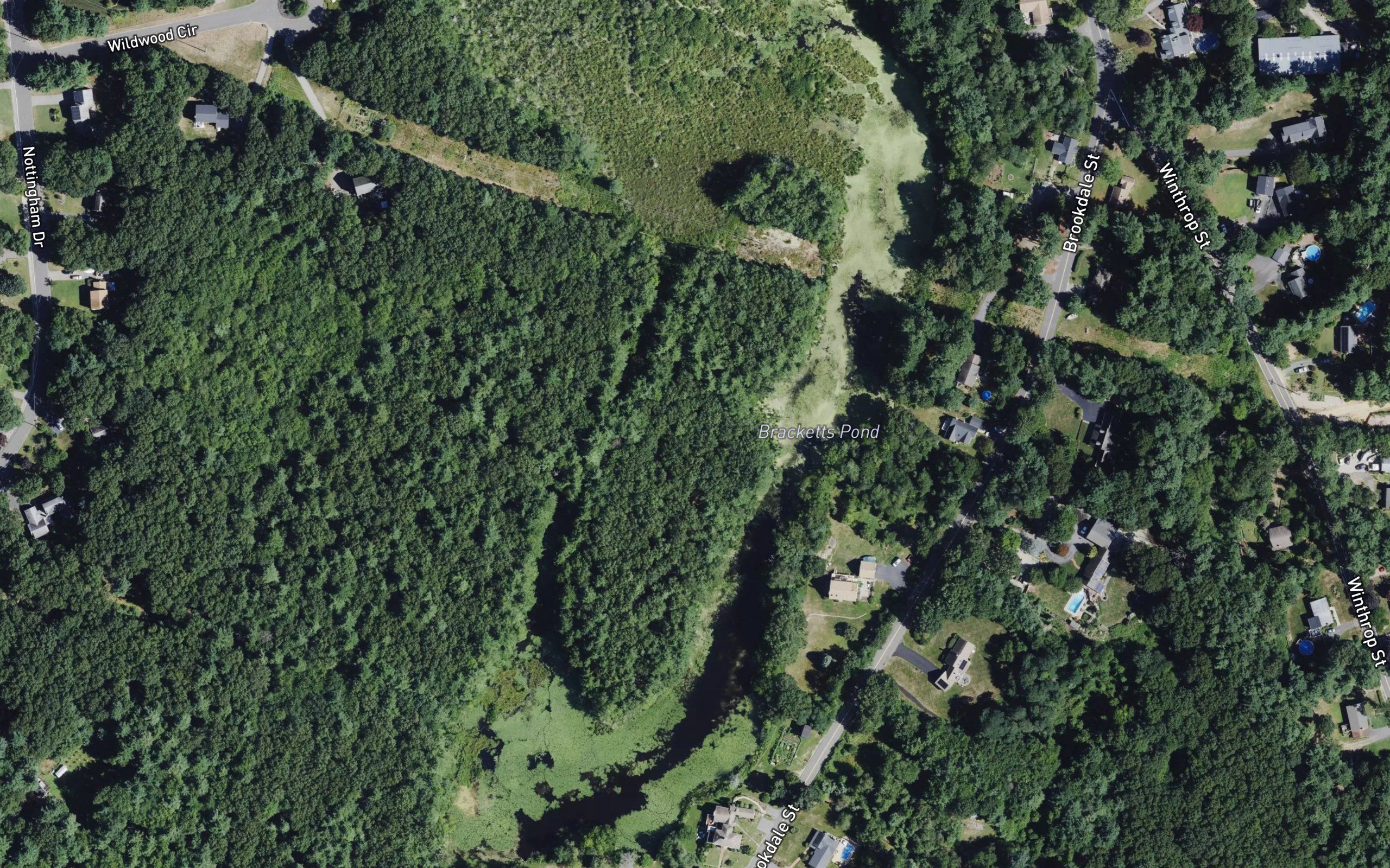 Bracketts Pond