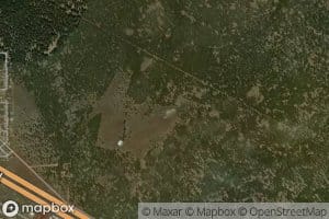 Marvin Spring (historical)