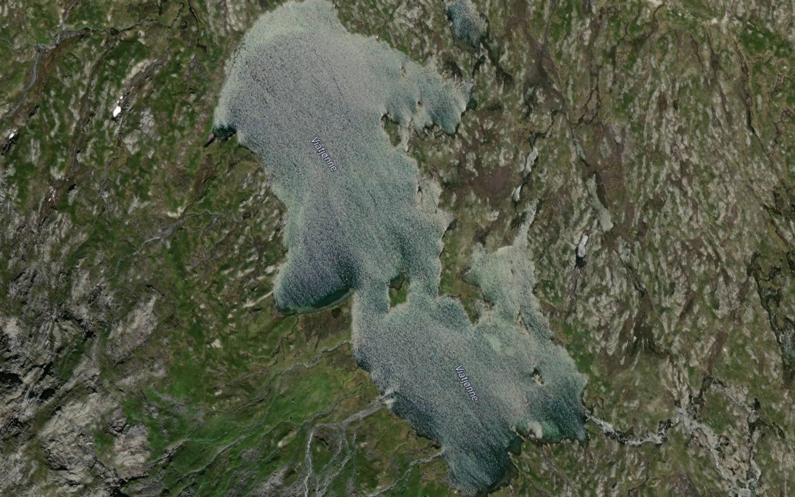 Viatjorni