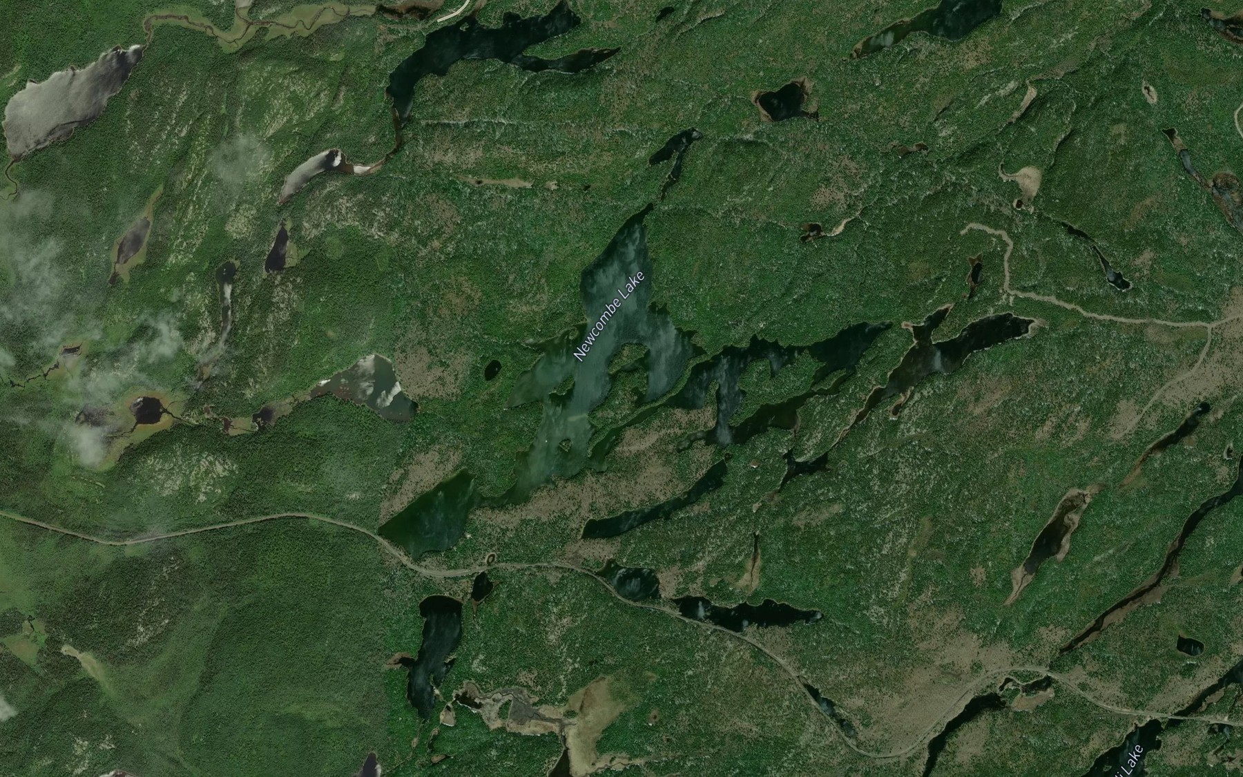 Satellite map of the Newcombe Lake