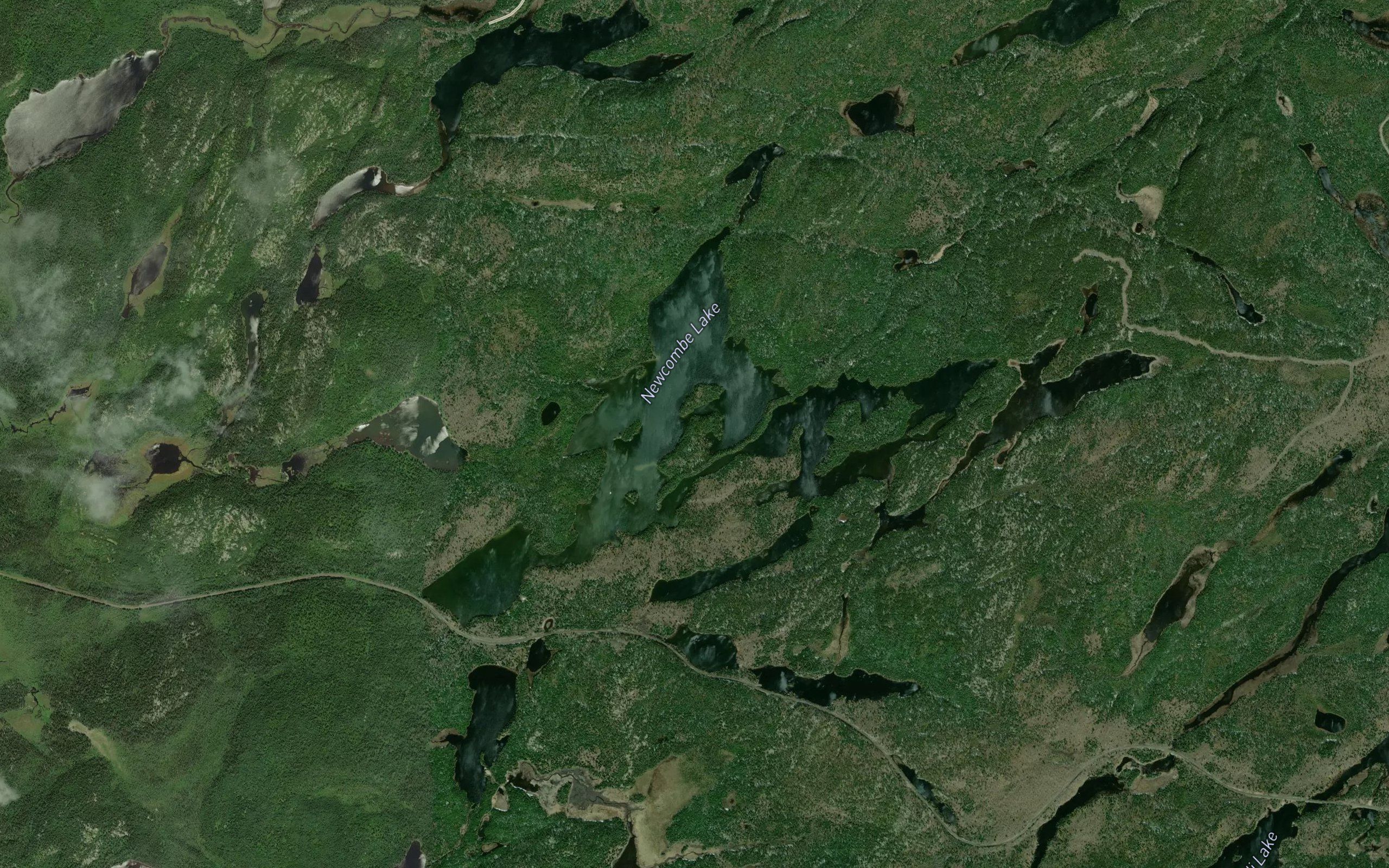 Newcombe Lake
