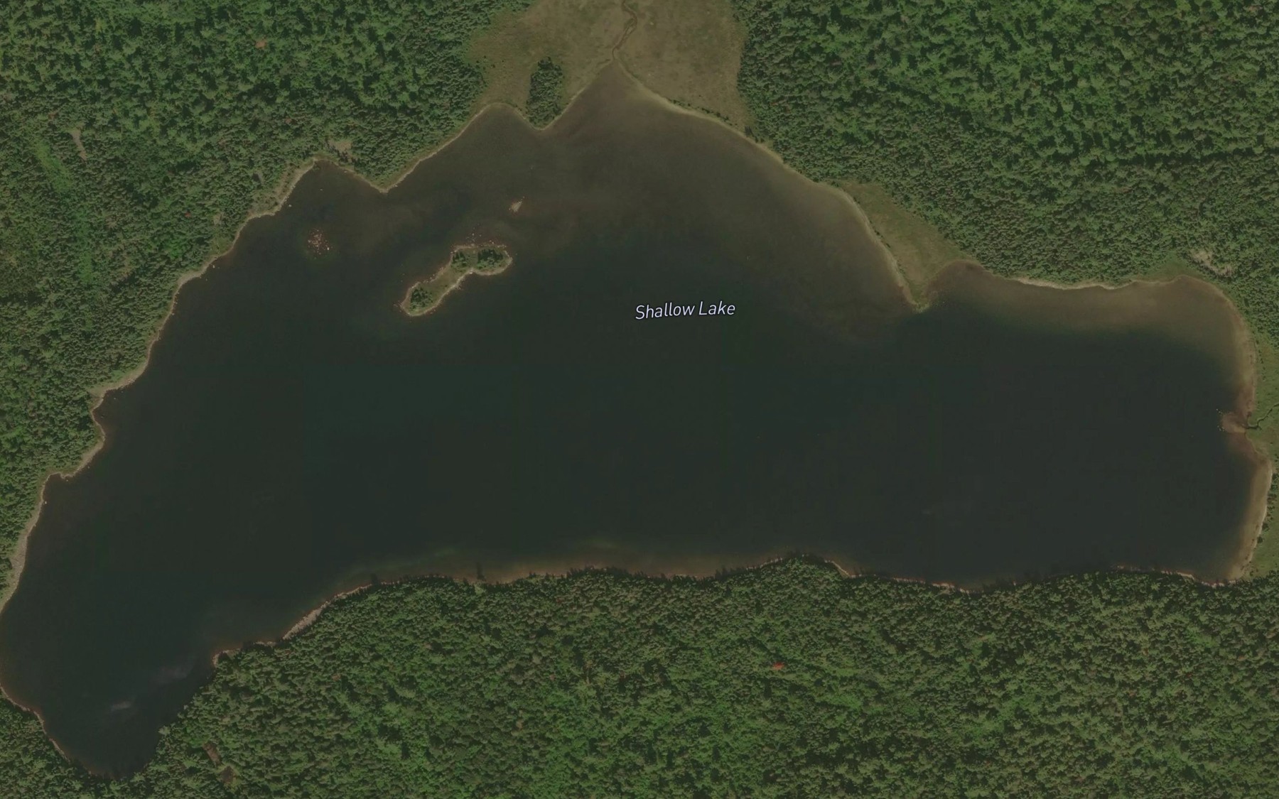Satellite map of the Shallow Lake