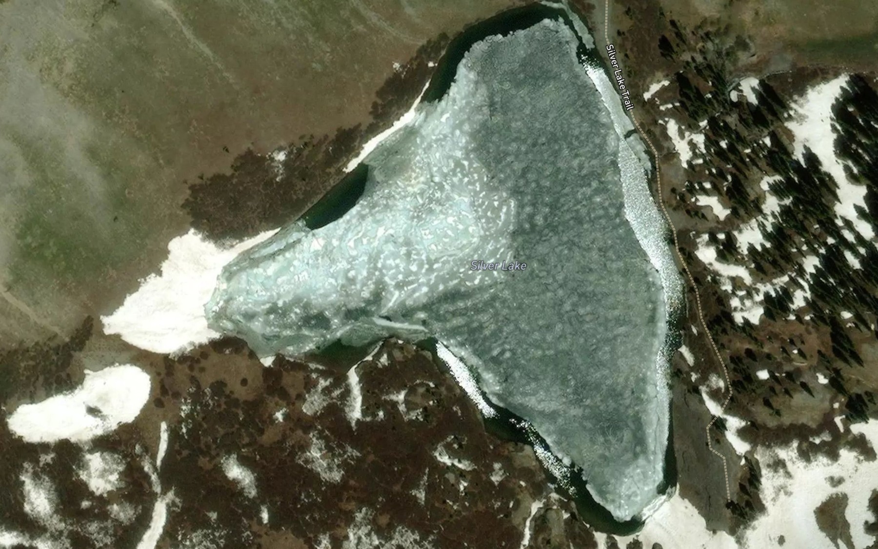 Satellite map of the Silver Lake