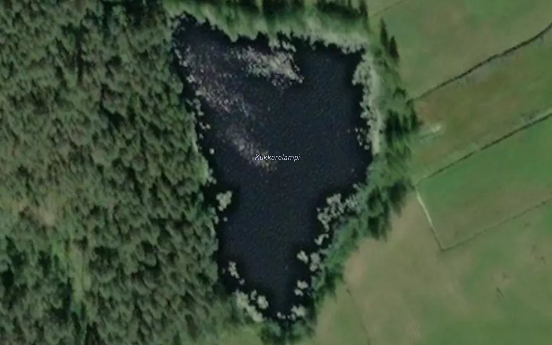 Satellite map of the Kukkarolampi