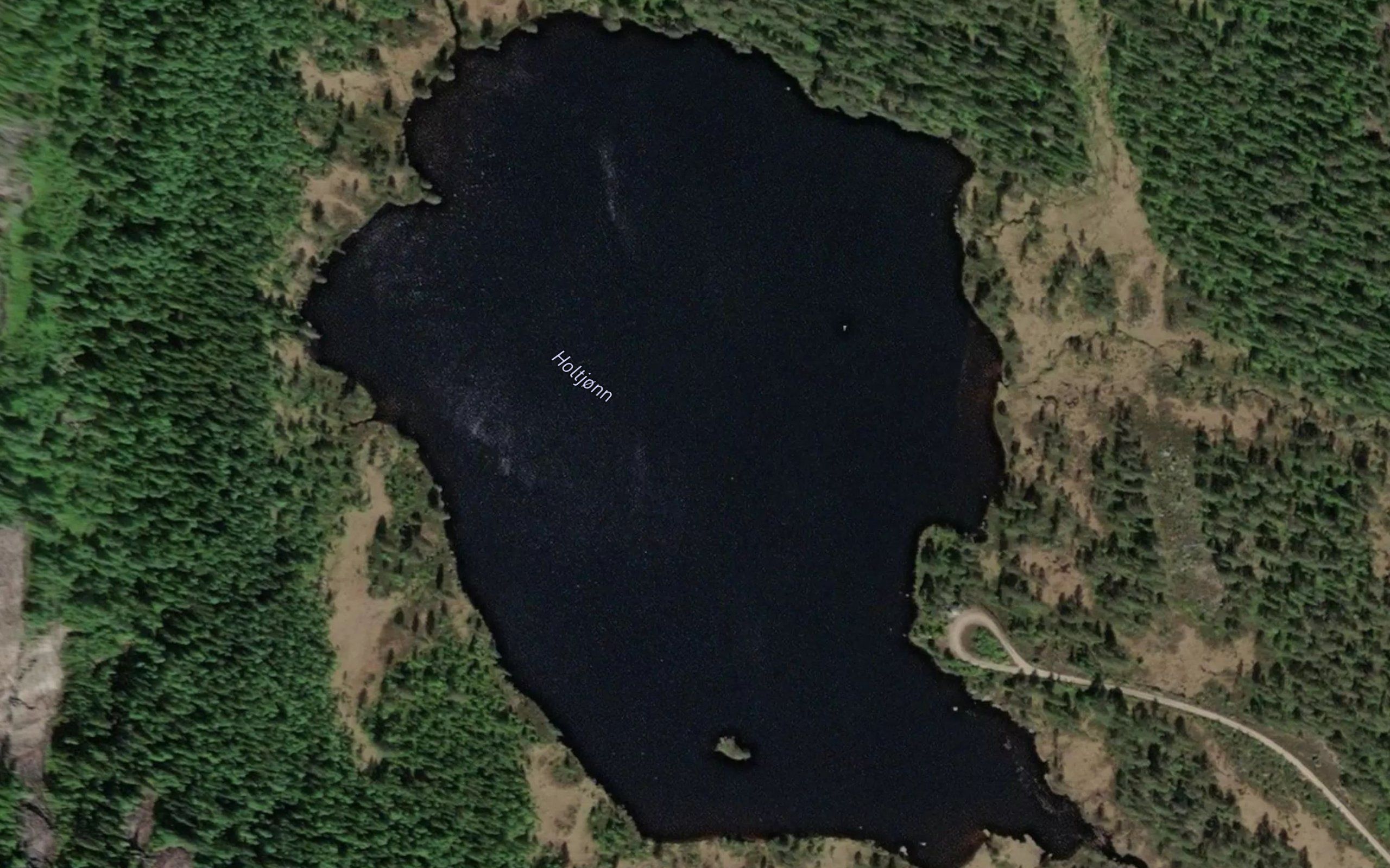 Holtetjorn