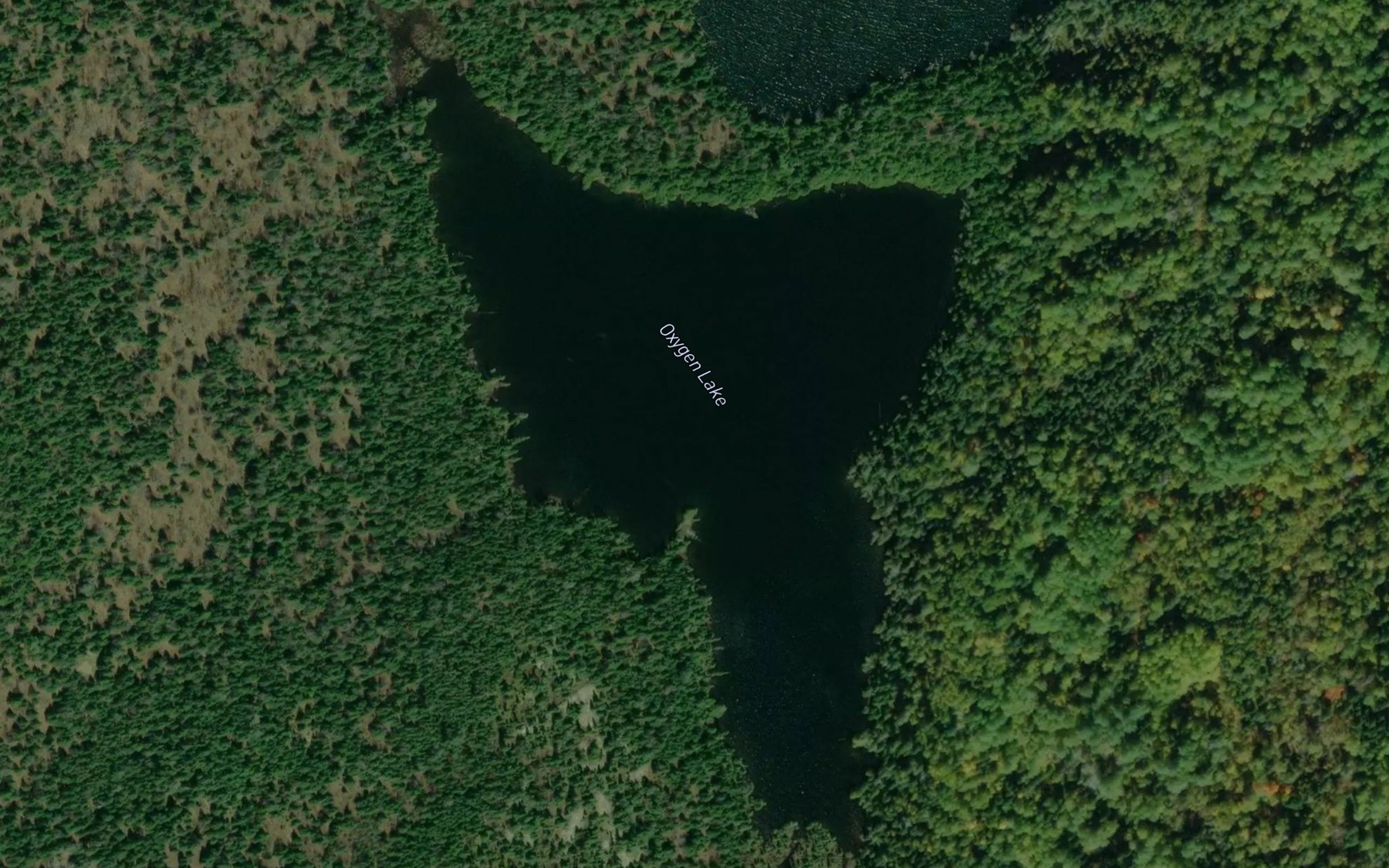 Satellite map of the Oxygen Lake
