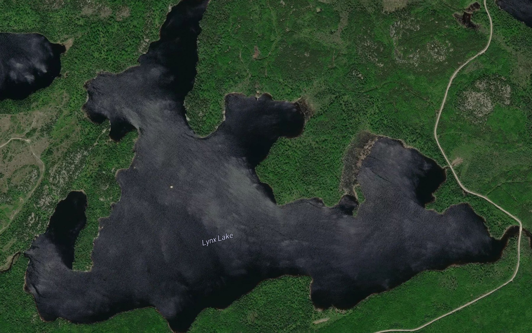 Satellite map of the Lynx Lake