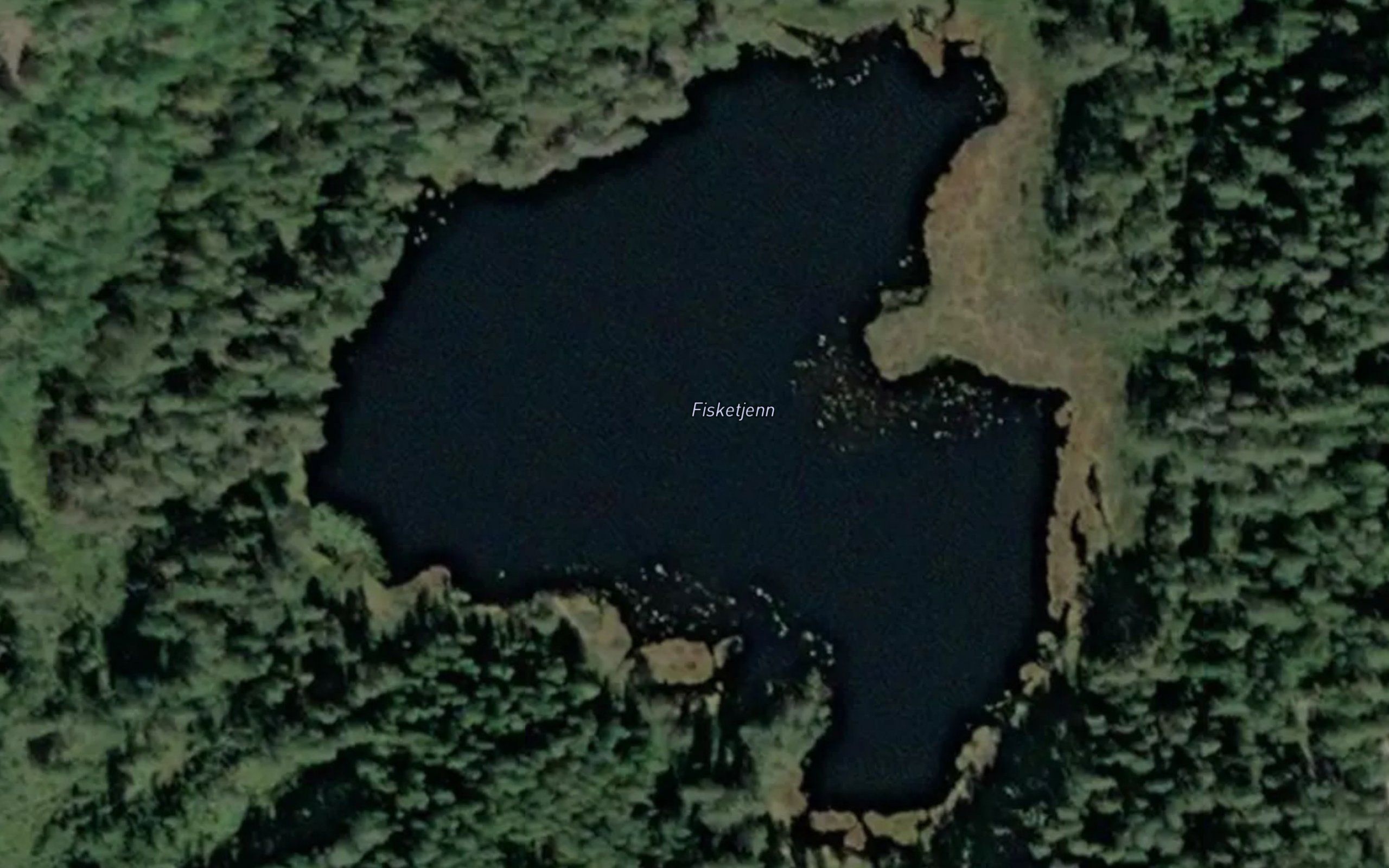 Fisketjenn