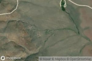 Grasshopper Flat Spring