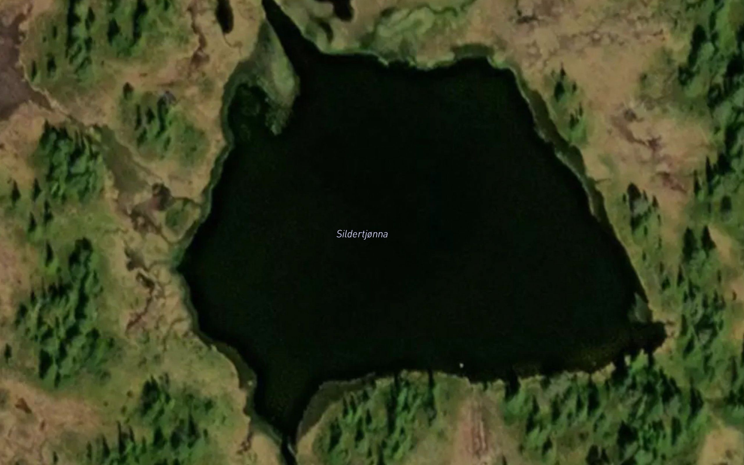 Sildertjorna