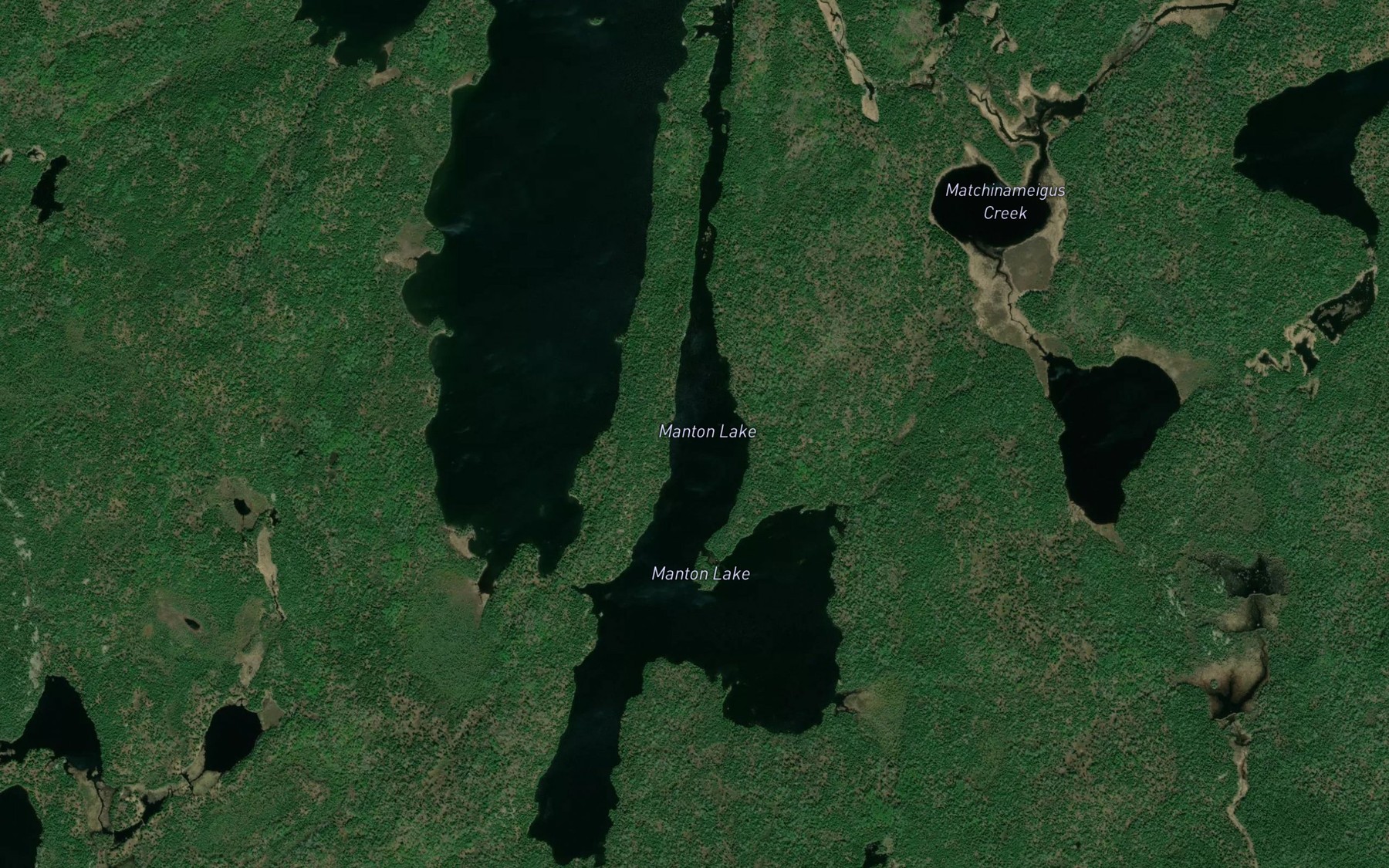 Satellite map of the Manton Lake