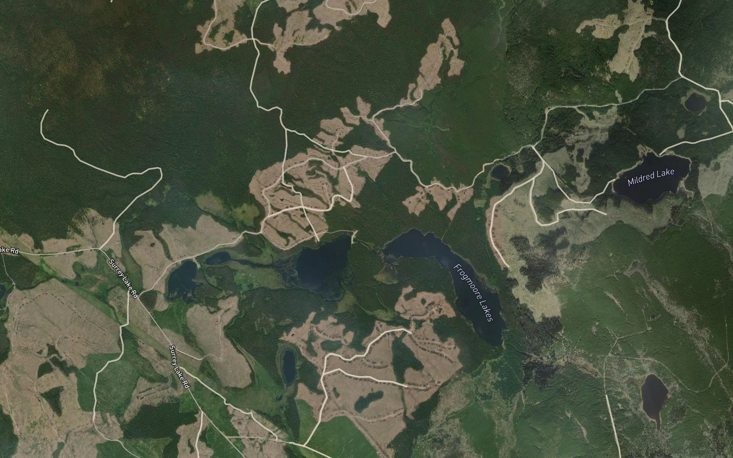 Frogmoore Lakes