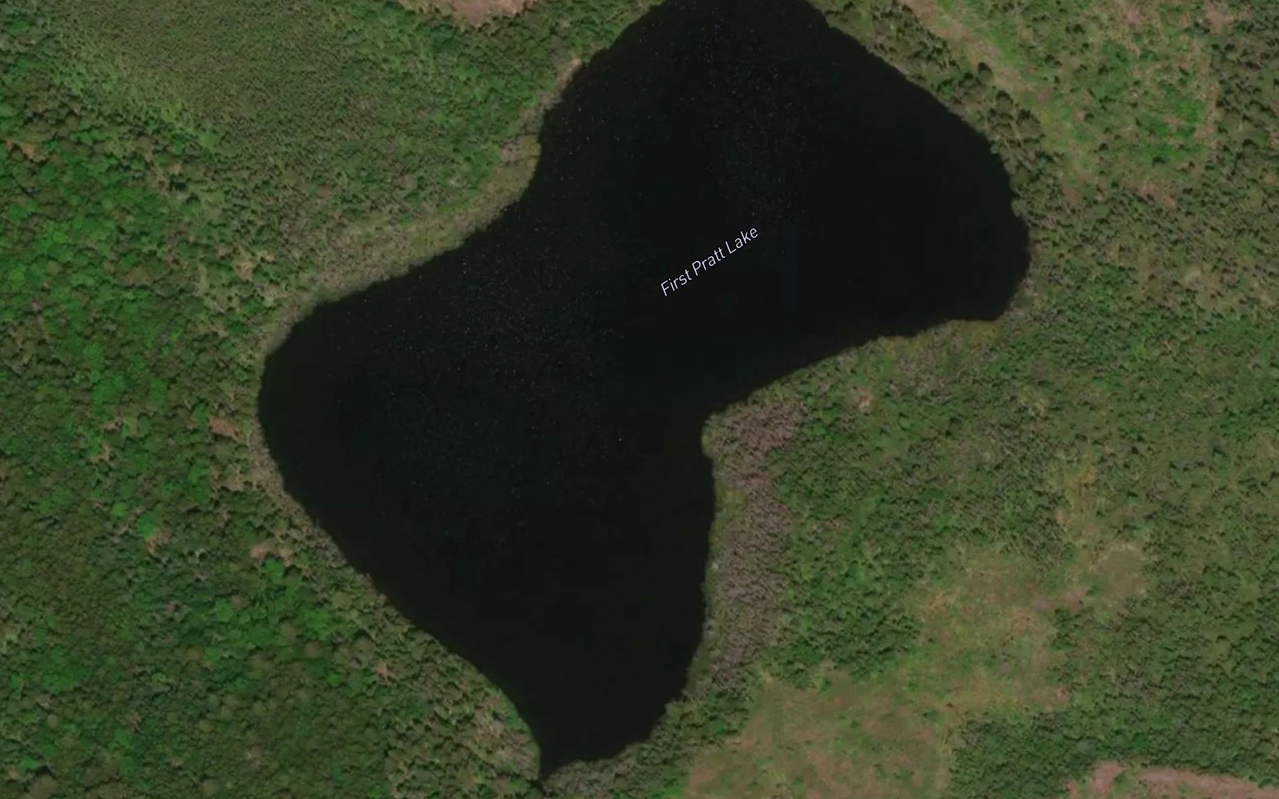 Satellite map of the First Pratt Lake