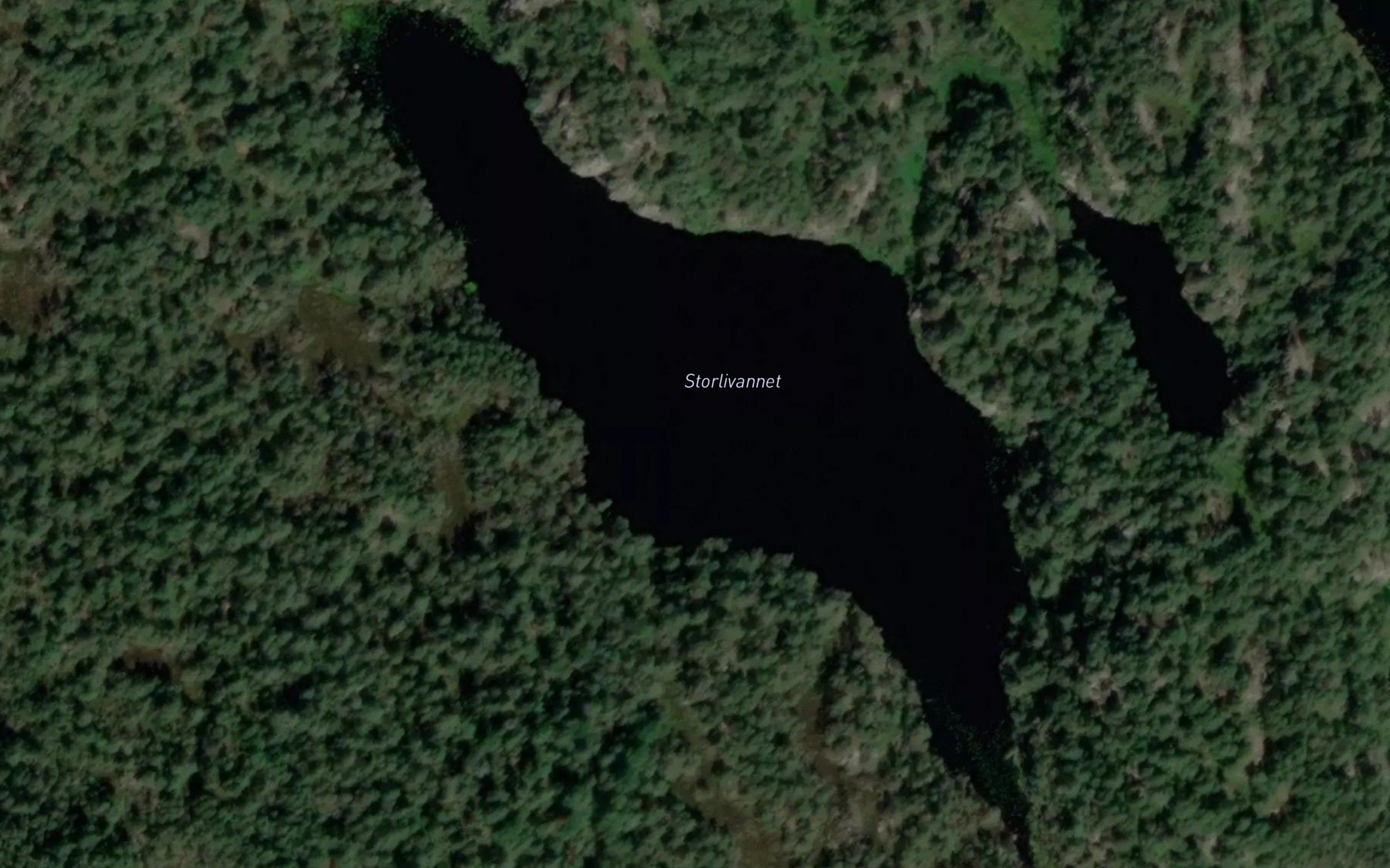 Langatjorn