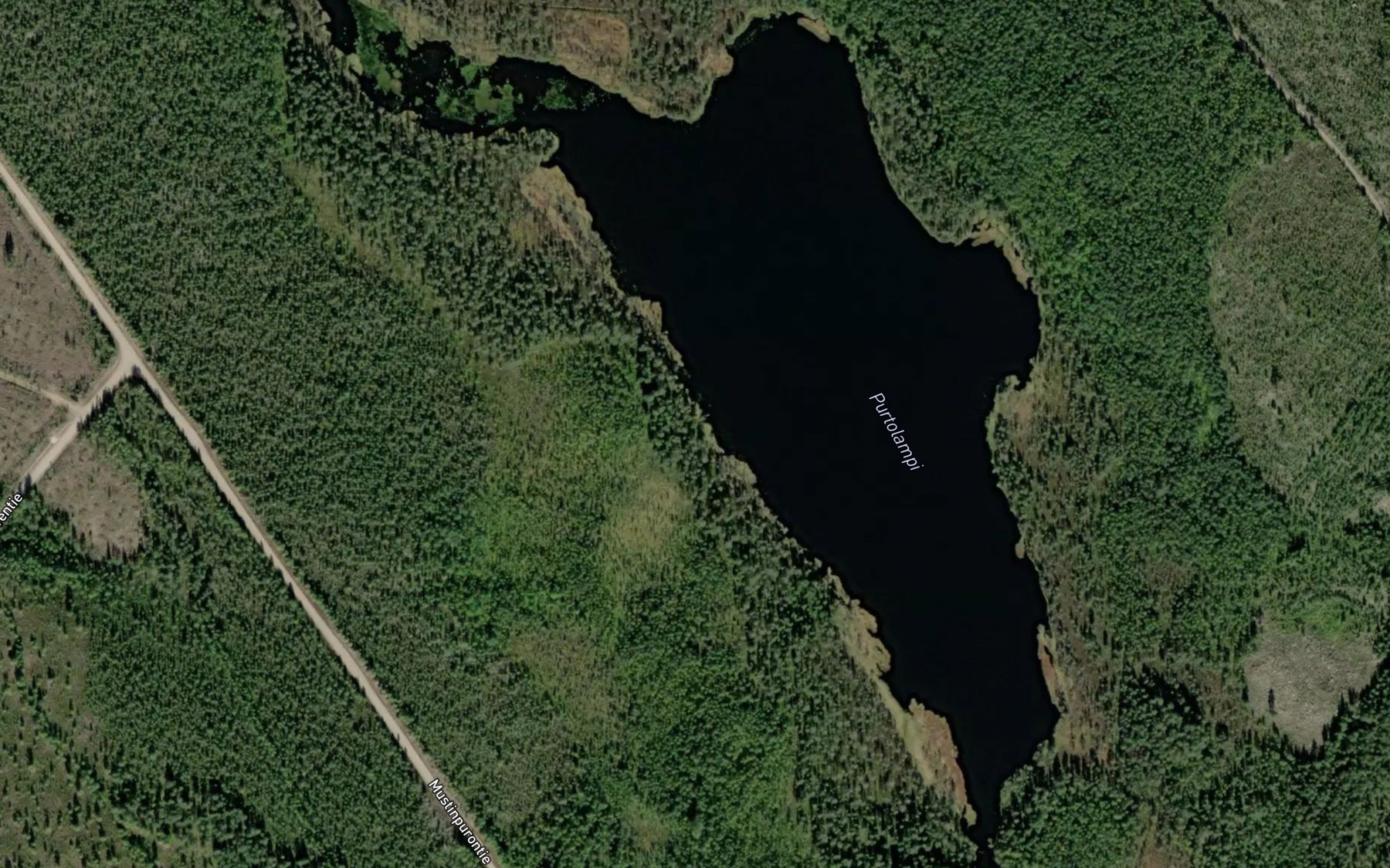 Satellite map of the Purtolampi