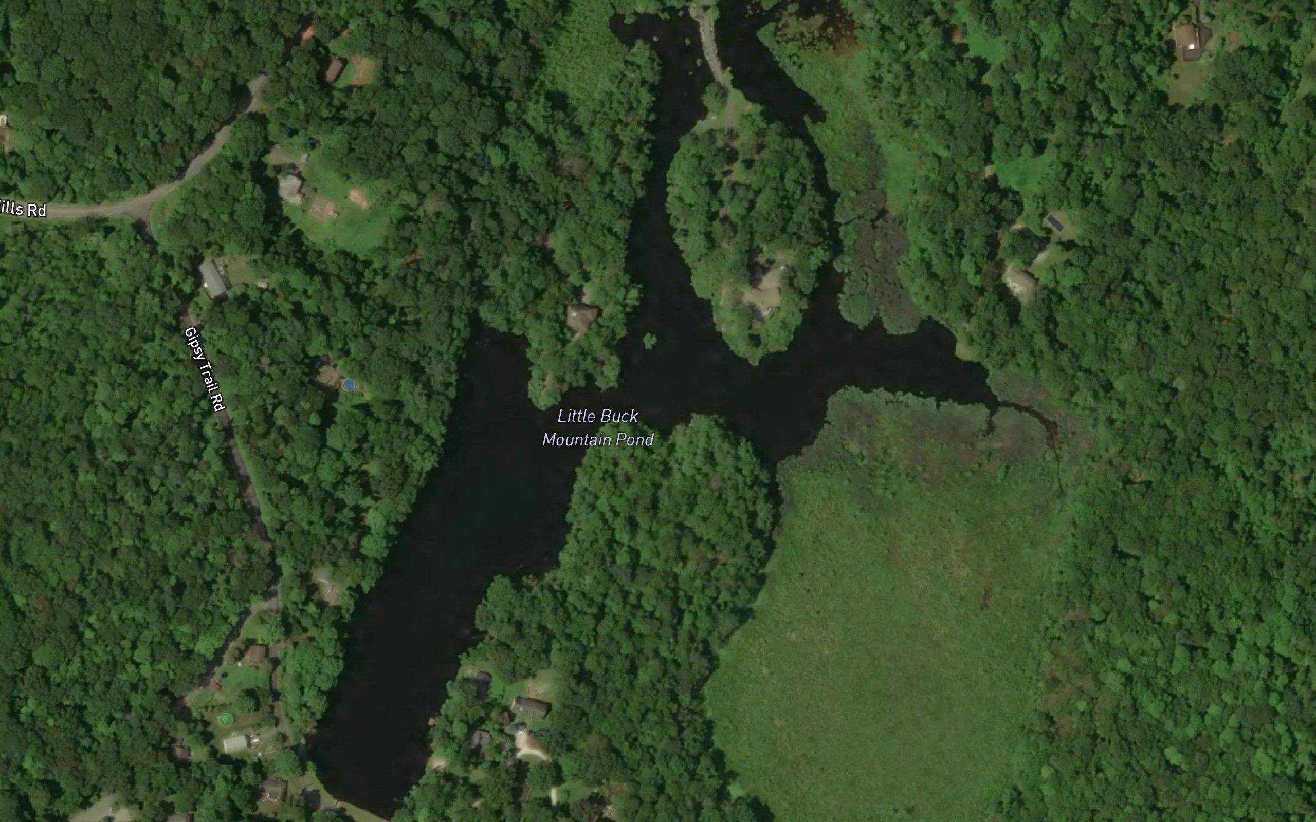 Little Buck Mountain Pond
