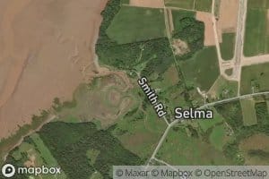 Selma Brook