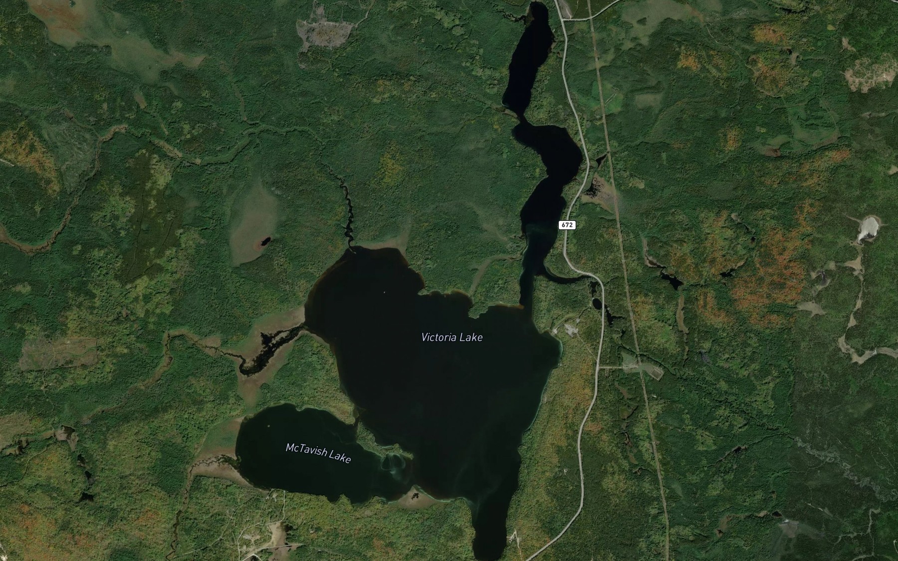 Satellite map of the Victoria Lake