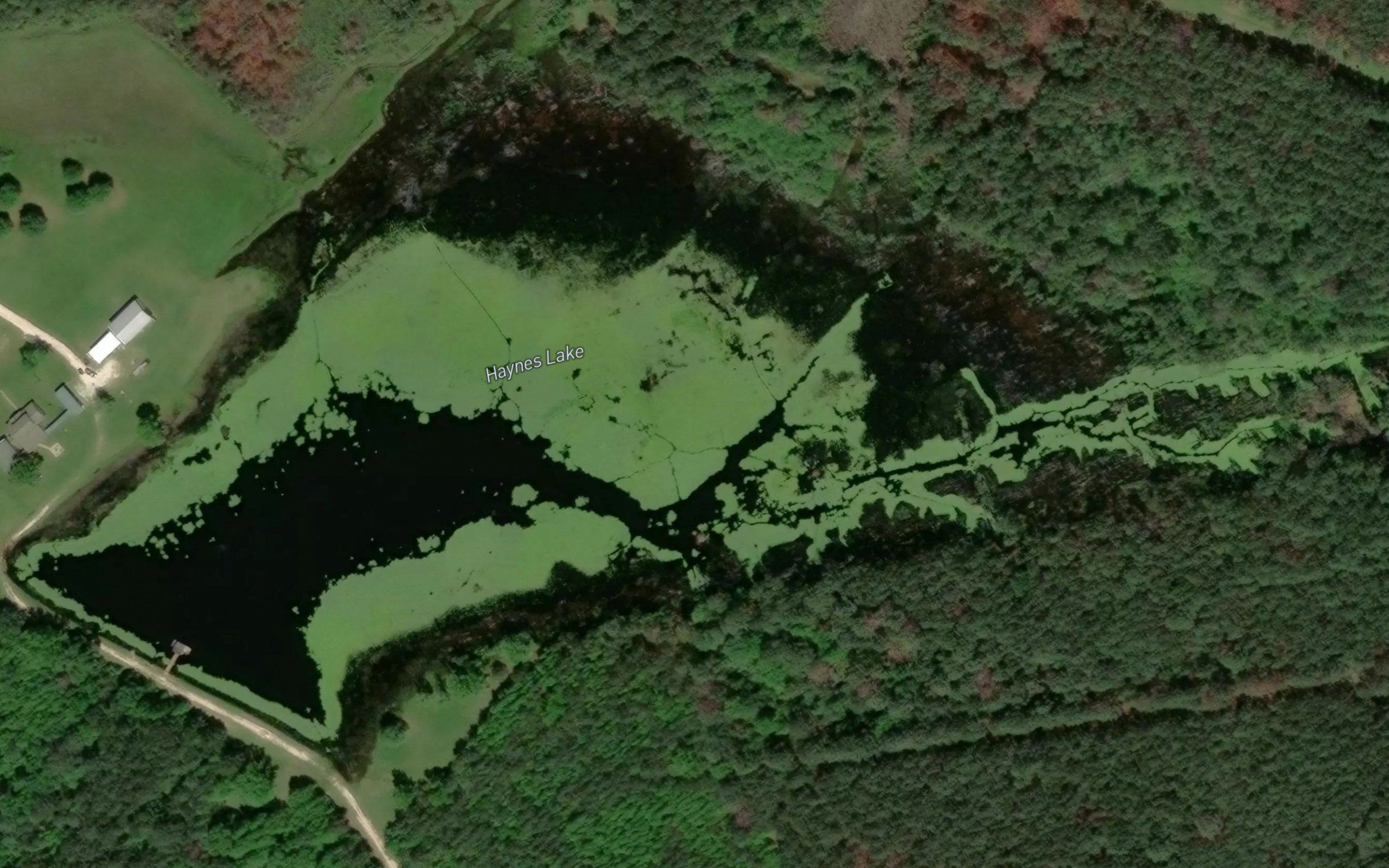 Haynes Lake