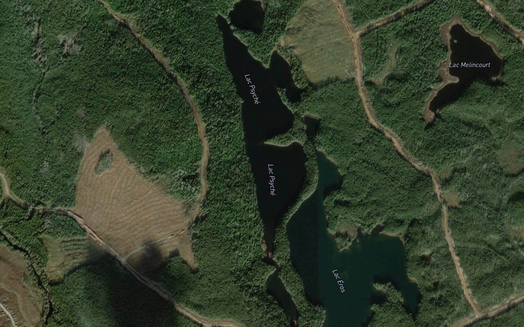 Satellite map of the Lac Psyche