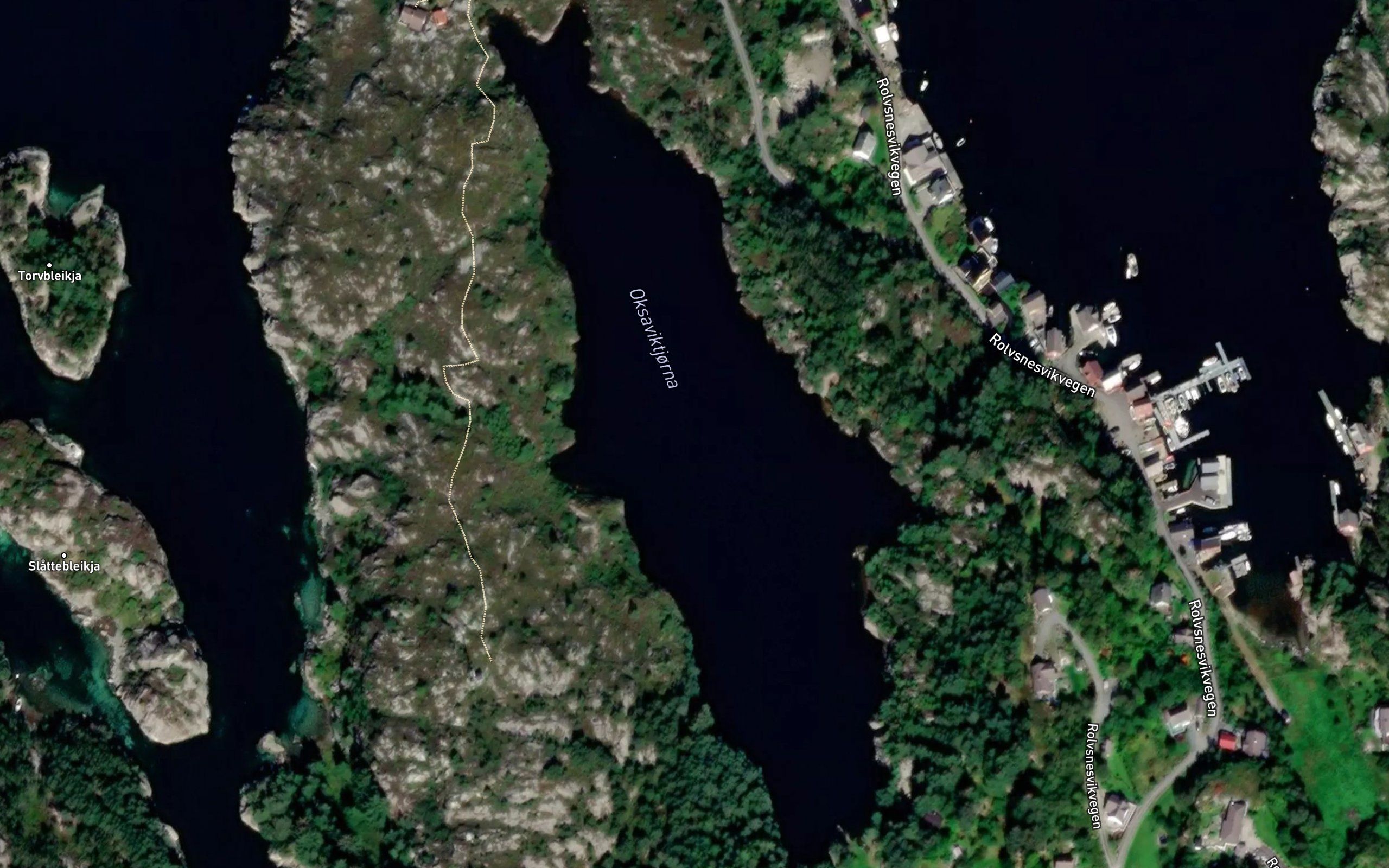 Oksaviketjorna