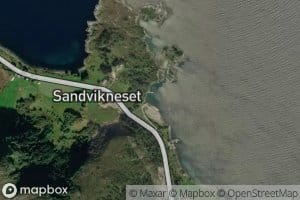 Nesevika