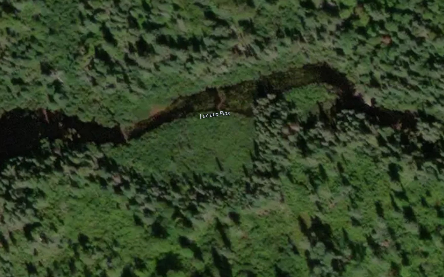 Satellite map of the Lac aux Pins