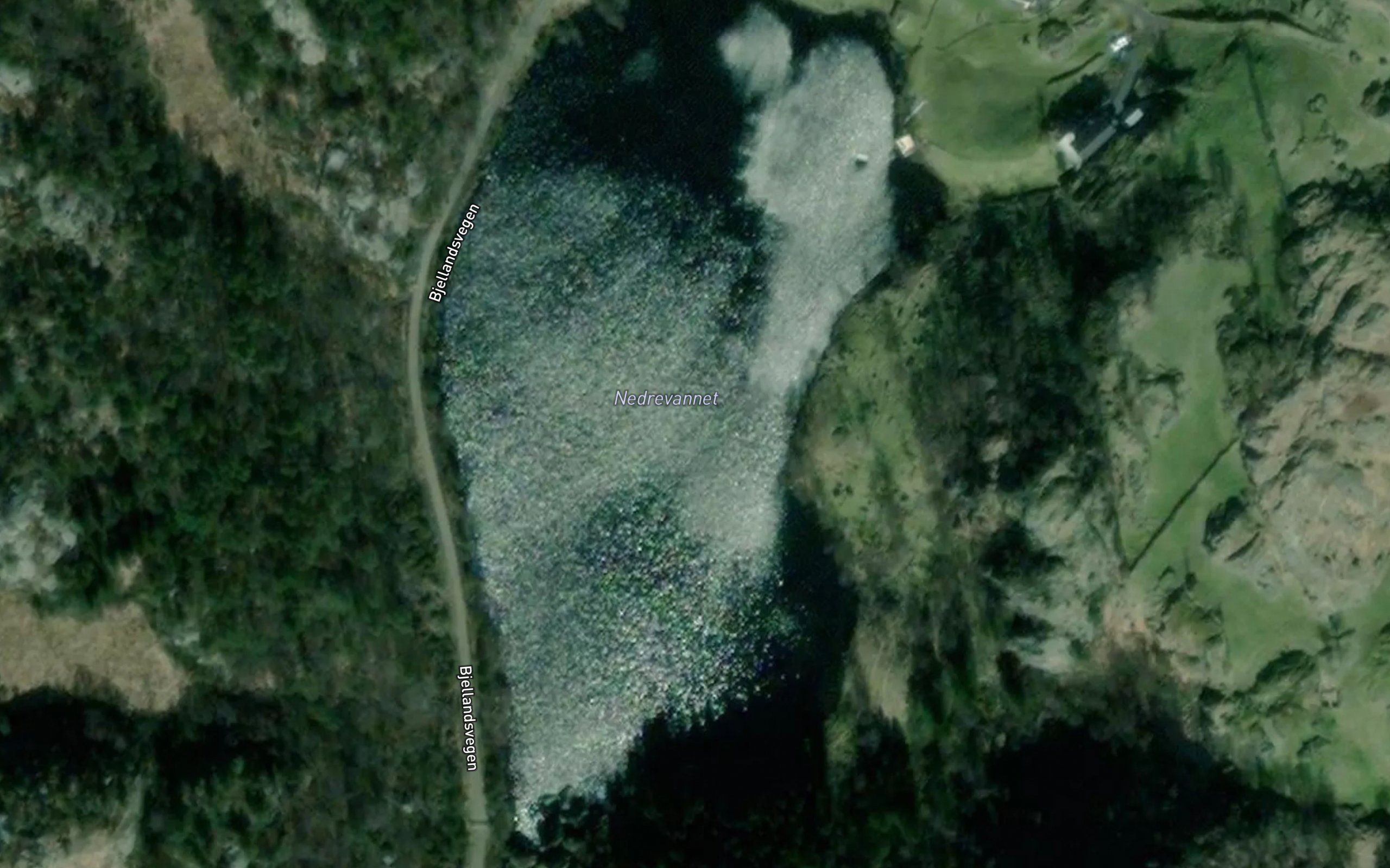 Nedrevannet
