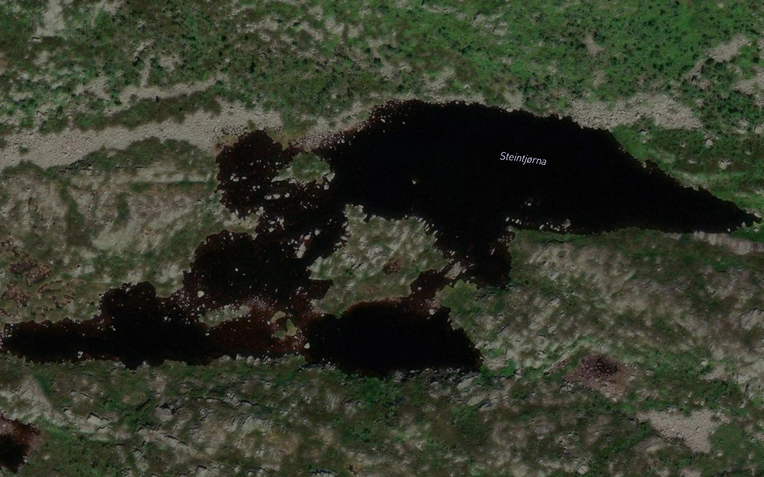 Steintjorna