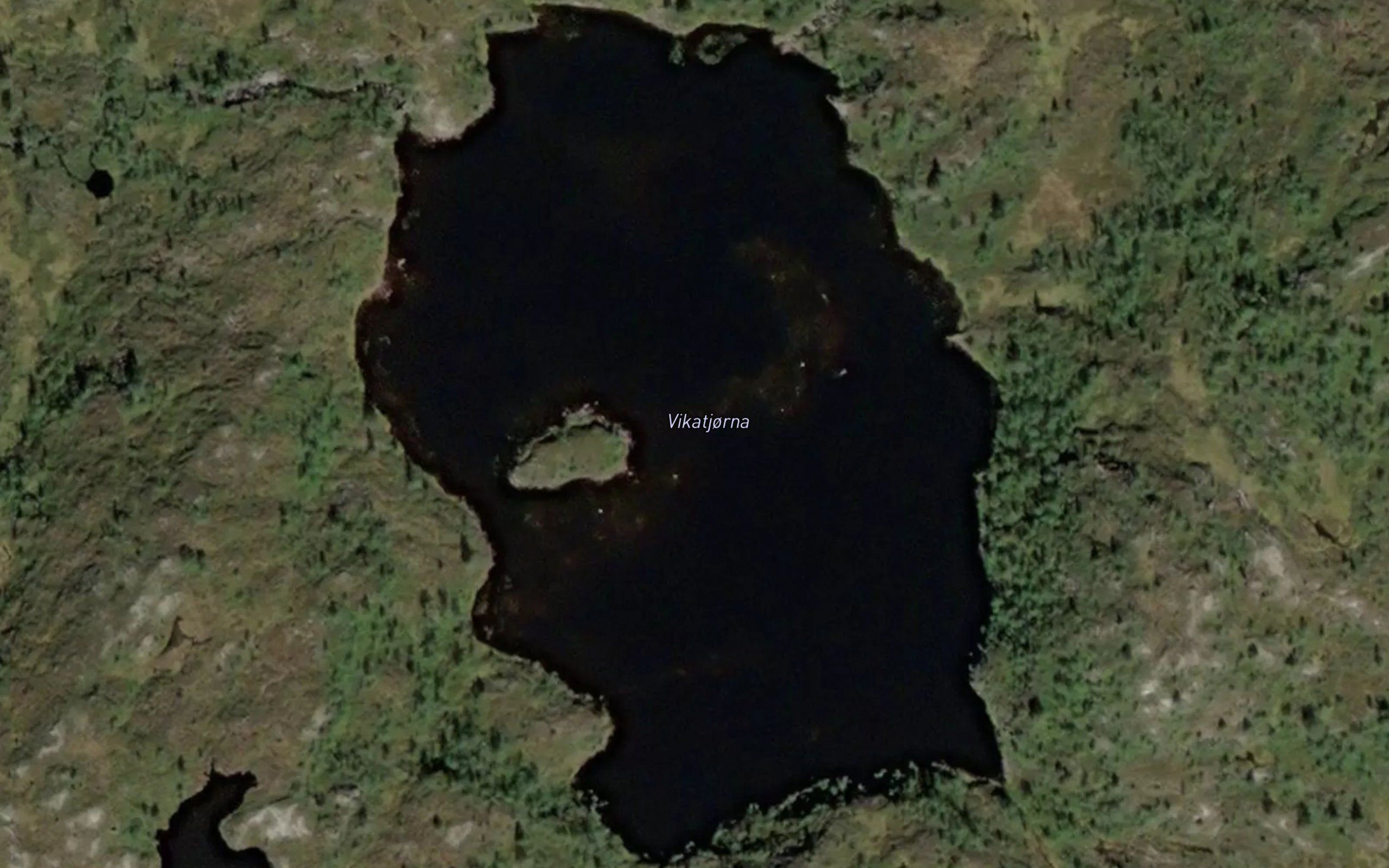 Vikatjorna